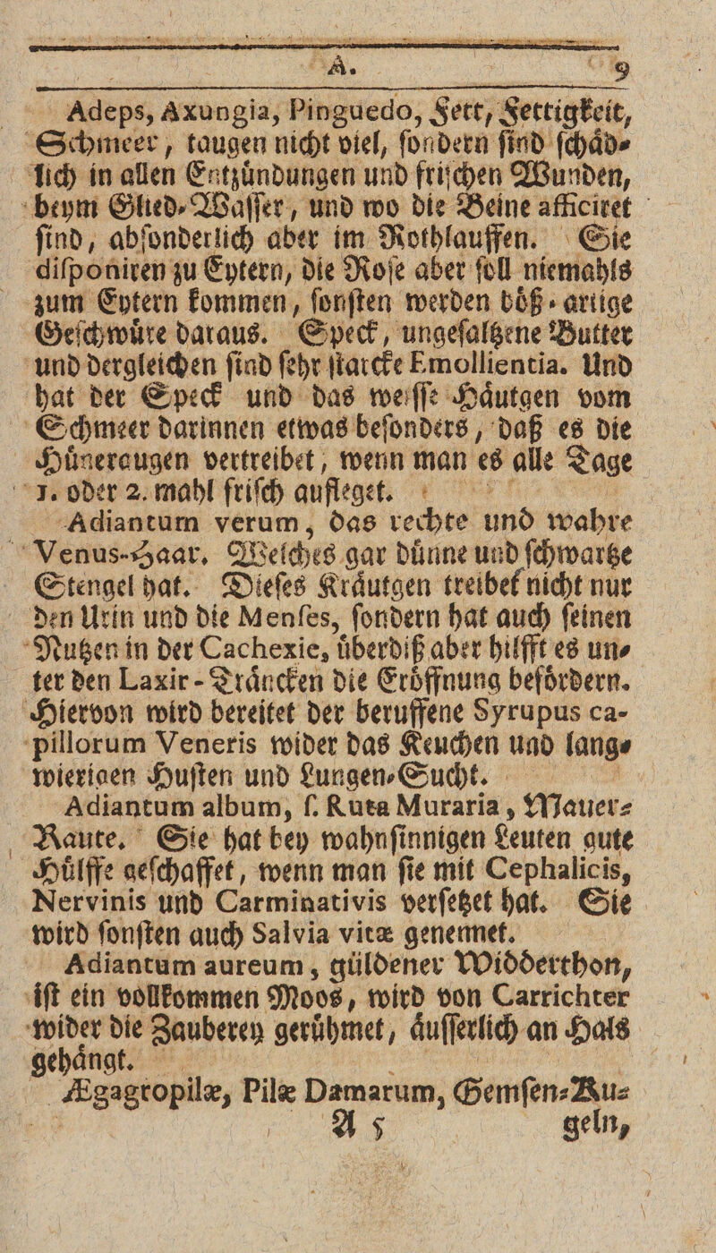 kenn, Axungia, e ede Fett, Ferret, lich in allen Entzündungen und friſchen Wunden, ſind, abſonderlich aber im Rothlauffen. Sie zum Eytern kommen, ſonſten werden boͤß artige hat der Speck und das werffe Haͤutgen vom Huͤneraugen vertreibet, wenn man es alle Tage Adiantum verum, das rechte Und wahre Stengel hat. Dieſes Kraͤutgen treibet nicht nur ter den Laxir - Traͤncken die Eroͤffnung befördern. Adiantum album, ſ. Ruta Muraria, Mauer⸗ Huͤlffe geſchaffet, wenn man ſie mit Cephalicis, Nervinis und Carminativis verſetzet hat. Sie wird ſonſten auch Salvia vitæ genemet. Adiantum aureum, güldener Widderthon, iſt ein vollkommen Moos, wird von Carrichter le die Zauberen gerühmet, auſſerlich an Hals gehaͤngt. | | KEgagtopile, Pilæ m Gemſen⸗Ru⸗ |