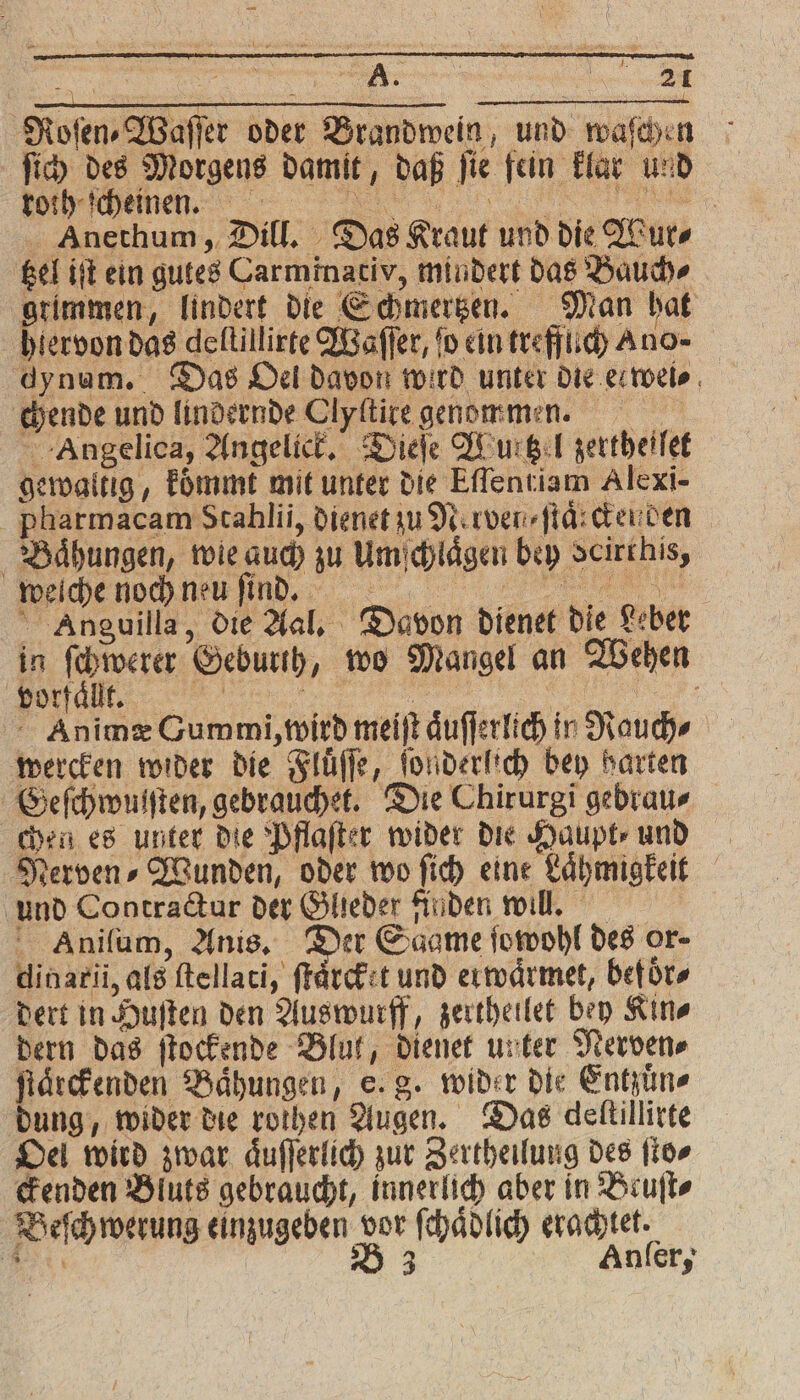 a A. 8 Roſen⸗Waſſer oder Brandwein, und waſchen ſich des Morgens damit, daß fie fein klar und ,,, en SRONSE, Anethum, Dill. Das Kraut und die Wur tzel iſt ein gutes Carminativ, mindert das Bauch» grimmen, lindert die Schmertzen. Man hat hi ervon das deltillirte Waſſer, fo ein treffuch Ano- dynam. Das Oel davon wird unter die elrwei⸗ chende und lindernde Clyſtire genommen. Angelica, Angelick. Dieſe Wurg:l zertheilet gewaltig, koͤmmt mit unter die Eſſentiam Alexi- pharmacam Stahlii, dienet zu Nerven ſtaͤrcker den Baͤhungen, wie auch zu Umſchlaͤgen bey dcirthis, welche noch neu ſind. BER. Anguilla, die Aal. Davon dienet die Leber in ſchwerer Geburth, wo Mangel an Wehen Horfaͤllt. „5 N Animæ Gummi, wird meiſt aͤuſſerlich in Rauch⸗ wercken wider die Fluͤſſe, ſonderlich bey harten Geſchwulſten, gebrauchet. Die Chirurgi gebrau⸗ chen es unter die Pflaſter wider die Haupt ⸗ und Nerven⸗Wunden, oder wo ſich eine Laͤhmigkeit und Contractur der Glieder finden will. Aniſum, Anis. Der Sagme ſowohl des or- dinarii, als ſtellati, ſtaͤrcktt und erwaͤrmet, befoͤr⸗ dert in Huſten den Auswurff, zertheilet bey Kin⸗ dern das ſtockende Blut, dienet unter Nerven⸗ ſtaͤrckenden Baͤhungen, e. g. wider die Entzuͤn⸗ dung, wider die rothen Augen. Das deltillirte Oel wird zwar aͤuſſerlich zur Zertheilung des ſto⸗ ckenden Bluts gebraucht, innerlich aber in Beuſt⸗ Beſch werung einzugeben vor ſchaͤdlich erachtet.
