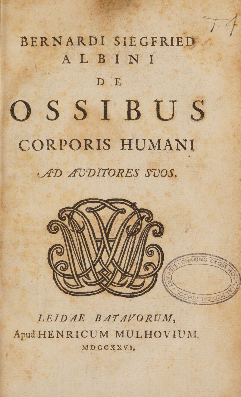 BERNARDI SIEGFRIED ^ LODUALENEINI 3 X Walz P d E | wet d IO-S S41. B U $ . CORPORIS HUMANI - efD AÜDITORES S'00$. LEIDAE BATAFORUM, ÁpuddHENRICUM MULHOVIUM. MDCCXXVE,