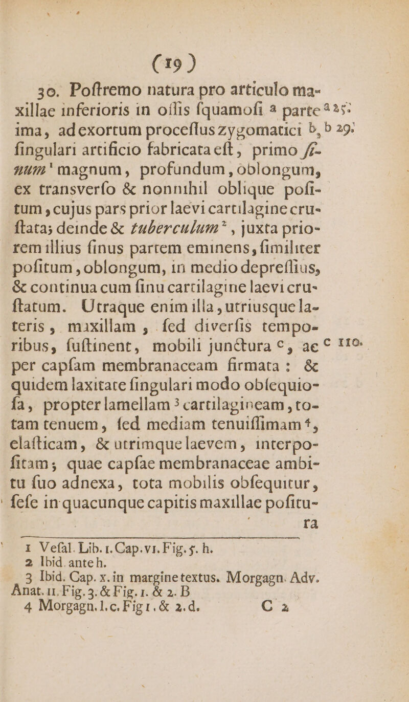 (19 ) 3o. Poftremo natura pro articulo ma- fingulari artificio fabricata eft, primo /7- 2u'magnum, profundum, oblongum; ex transverfo &amp; nonnihil oblique pofi- tum , cujus pars prior laevi cartilagine cru- ftata; deinde &amp; zu£erculum? , juxta prio- rem illius finus partem eminens fimiliter pofitum , oblongum, in medio depreflius, &amp; continua cum finu carcilagine laevi cru- ftatum. Utraque enim illa , utriusque la- teris, maxillam ;, fed diverfis tempo- ribus, fuftinent, mobili junctura *, ac per capfam membranaceam firmata: &amp; quidem laxitate fingulari modo obíequio- fa, propter lamellam ? cartilagincam , to- tam tenuem, fed mediam tenuifílimam *, elafticam, &amp; utrimquelaevem, interpo- fitam; quae capfae membranaceae ambi- tu fuo adnexa, tota mobilis obfequitur, fefe in quacunque capitis maxillae pofitu- | ra 1 Vefal. Lib. r. Cap.vi. Fig. $. h. 2 lbid.anteh. Anat. ir. Fig.5. &amp; Fig. i. &amp; 2. B | C IIO.