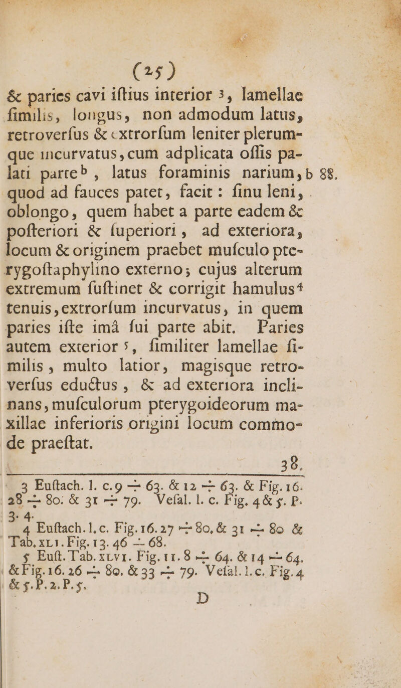 &amp; paries cavi iftius interior 3, lamellae fimilis, longus, non admodum latus, retroverfus &amp; «xtrorfum leniter plerum- que incurvatus , cum adplicata oflis pa- | lati parteb , latus foraminis narium, b 88. .quod ad fauces patet, facit: finu leni, oblongo, quem habet a parte eadem &amp; pofteriori &amp; fuperiori, ad exteriora; locum &amp; originem praebet mufculo pte- rygoftaphylino externo; cujus alterum extremum fuftinet &amp; corrigit hamulus* tenuis, extrorfum incurvatus, in quem paries ifte 1mà fui parte abit. Paries autem exterior 5, fimiliter lamellae fi- milis , multo latior, magisque retro- verfus edu&amp;tus, &amp; ad exteriora incli- nans, mufculorum pterygoideorum ma- Xillae inferioris origini locum commo- de praeftat. | E «3 Euftach. 1l. c.9 — 63. &amp; 12 — 63. &amp; Fig. 16. 28 — 8o. &amp; 31 — 79. Vefal. l. c. Fig. 4 &amp; j. P. » 4. : 4 Euftach.l.c. Fig.16.27 — 80, &amp; 31 -—- 80 &amp; Tab. xr1. Fig. 13. 46 — 68. $ Euft. l'ab. xtvrz. Fig. 11. 8 — 64. &amp; 14 — 64. &amp; Fig.16. 26 — 80, &amp; 33 — 79. Velal.1.c. Fig.4 | &amp; 5. P. 2. P. y. 5