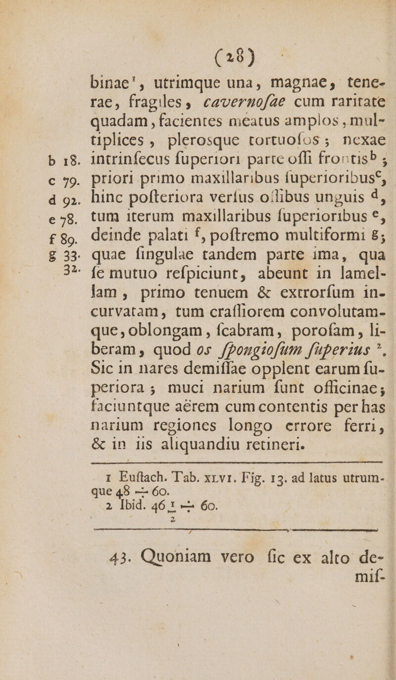 e 78. f 89. (2$) binae', utrimque una, magnae, tenc- rae, fragiles, cavernofae cum raritate quadam , facientes meatus amplos , mul- tiplices , plerosque tortuofos ; nexae intrinfecus fuperiori parte offi froutis ; priori primo maxillaribus fuperioribus? hinc pofteriora verfus otlibus unguis 4, tum iterum maxillaribus fuperioribus *, deinde palati f, poftremo multiformi 8; quae fingulae tandem parte ima, qua fe mutuo refpiciunt, abeunt in lamcel- lam, primo tenuem &amp; extrorfum in- curvatam, tum craíliorem convolutam- que , oblongam , fcabram, porofam, li- beram, quod os /Pougiofum füperzus ^. Sic in nares demiffae opplent earum fu- periora ; muci narium funt officinae; faciuntque aérem cum contentis per has narium regiones longo errore ferri, &amp; in us aliquandiu retineri. 1 Euftach. Tab. xr.vr. Fig. 13. ad latus utrum- que 48 — 6o. 2 Ibid. 46 1 —— 6o. z , 43. Quoniam vero Íic ex alto de- mií- —