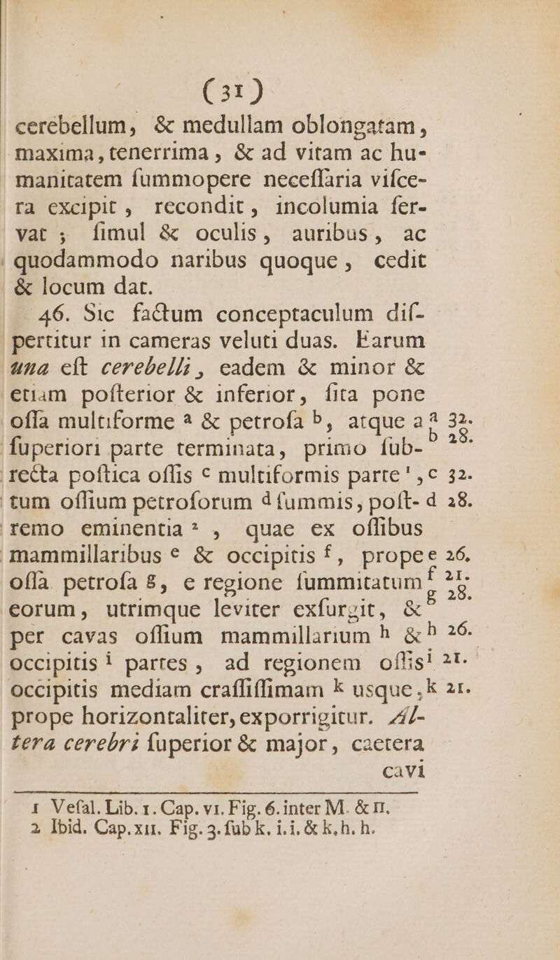 . cerebellum, &amp; medullam oblongatam, Jmaxima,tenerrima , &amp; ad vitam ac hu- manitatem fummopere neceffaria viíce- .ra excipit ,. recondit, incolumia fer- vat ; [fimul &amp; oculis, auribus, ac | quodammodo naribus quoque, cedit &amp; locum dat. 46. Sic. factum conceptaculum dif- perttur 1n cameras veluti duas. Earum ua clt cerebell; , eadem &amp; minor &amp; etiam pofíterior &amp; inferior, fita pone offa multiforme ? &amp; petrofa P, atque as 32- fuperiori parte terminata, primo fub- ^*^ . recta poftica offis € multiformis parre ' c 32. tum oflium petroforum d fummis, poft- d 38. remo eminentia? , quae ex oflibus mammillaribus € &amp; occipitis f, propee 26. ofla petrofa 8, e regione fummitatumf 28 eorum, utrimque leviter exfurpit, &amp;^ — per cavas offium mammillarium h. &amp; 5 26 occipitis i partes , ad regionem oflis! 2t- Occipitis mediam craffiffimam k usque, 21. prope horizontaliter, exporrigitur. 747- fera cerebri fuperior &amp; major, caetera Cavi 1. Vefal. Lib. 1. Cap. vi. Fig. 6. inter M. &amp; rr. 2 Ibid. Cap.xir. Fig. 3. fub k, i. i. &amp; k, h. h.