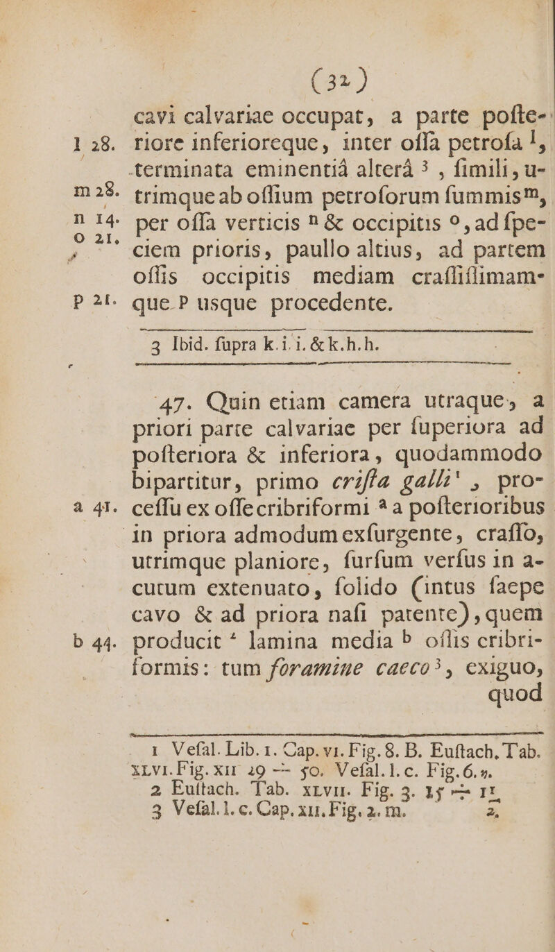 a 41. b 44. (32) cavi calvariae occupat, a parte pofle-: riore inferioreque, inter offa petrofa !,. trimque ab offium petroforum fummis, per offa verticis ? &amp; occipitis ?, adífpe- ciem prioris, paullo altius, ad partem ofüs Ooccipitis mediam crafliflimam- 47. Quin etiam camera utraque, a priori parte calvariae per fuperiora ad pofteriora &amp; inferiora, quodammodo bipartitur, primo c7z/f/z ga/A' , pro- ceffu ex offecribriformi ? a pofterioribus utrimque planiore, furfum verfus in a- cutum extenuato, folido (intus faepe cavo &amp; ad priora nafi patente) , quem producit ^ lamina media 5 ofílis cribri- quod 1 Vefal. Lib. 1. Cap. vi. Fig. 8. B. Euftach. T'ab. XLvi.Fig.xir 29 — $0. Vefal.l.c. Fig.6.». 2 Euttach. Tab. xrvu. Fig. 3. 15 —- r1,