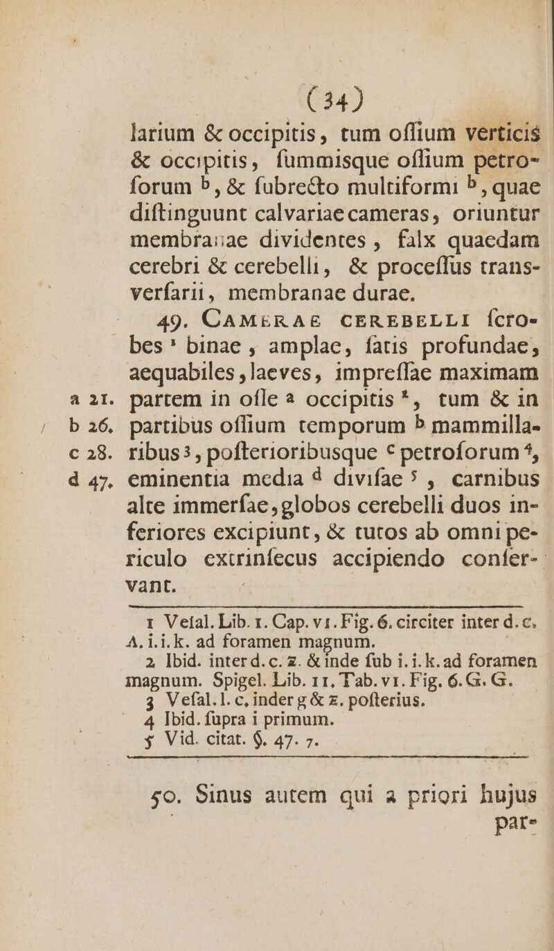 larium &amp; occipitis, tum offium verticis &amp; occipitis, fümmisque oflfium petro- forum b, &amp; fubre&amp;to multiformi 5, quae diftinguunt calvariae cameras, oriuntur membra;ae dividentes , falx quaedam cerebri &amp; cerebelli, &amp; proceffus trans- verfarii, membranae durae. 49. CAMERAE CEREBELLI ÍCrO- a 2I. b 26, C 38. d 47. aequabiles ,laeves, impreffae maximam partem in ofle à occipitis*, tum &amp; in partibus offium temporum 5 mammilla- ribus3 , poftecioribusque * petroforum 5, eminentia media 4 divifae 5 ,. carnibus alte immerfae globos cerebelli duos 1n- feriores excipiunt, &amp; tutos ab omni pe- - riculo extrinfecus accipiendo confer- vant. 1 Velal. Lib. 1. Cap. v1. Fig. 6. circiter inter d. c. A. i.i.k. ad foramen magnum. | 2, lbid. interd.c. z. &amp;inde füb i.i. k. ad foramen inagnum. Spigel. Lib. 11, T'ab. vi. Fig. 6.G. G.. 3 Vefal.l. c, inder g &amp; z. pofterius. 4 Ibid. fupra i primum. y Vid. citat. $9. 47. 7. 5o. Sinus autem qui a priori hujus pat*