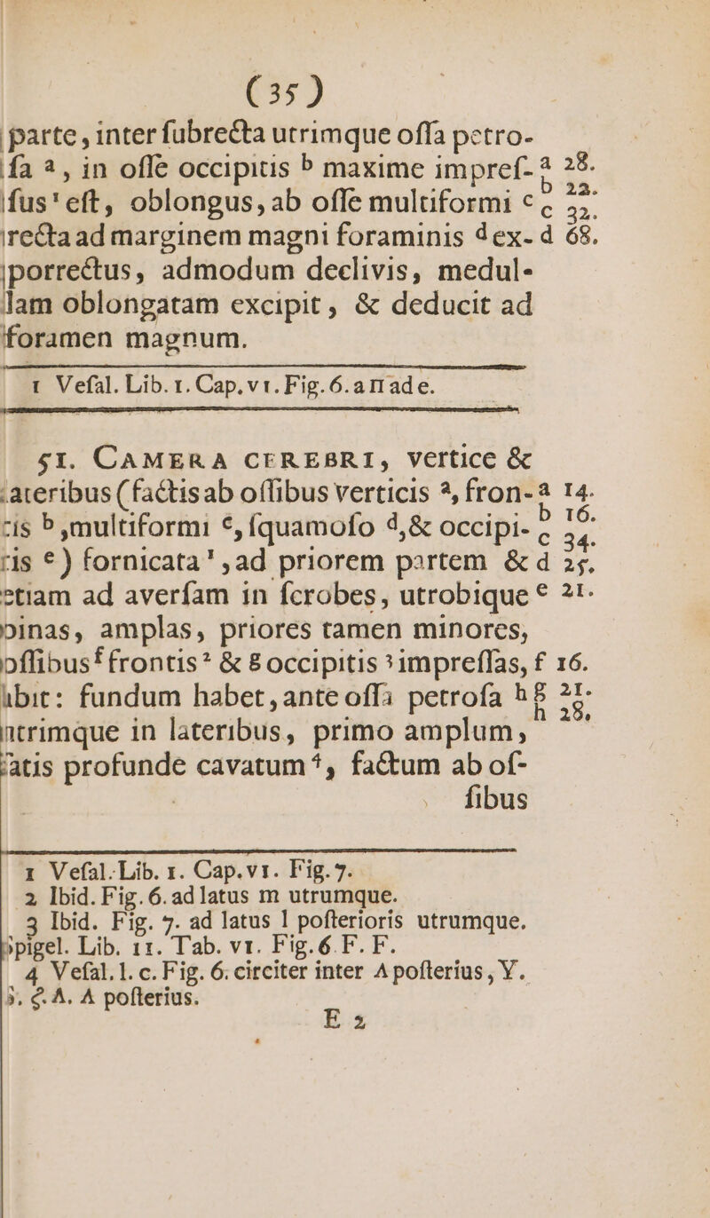 parte, inter fubre&amp;ta utrimque offa petro- fa ?, in offe occipitis P maxime impref- * 28. fus' eft, oblongus,ab ofle muluformi «, ex ire&amp;ta ad marginem magni foraminis dex- d 68. iporrectus, admodum declivis, medul- lam oblongatam excipit , &amp; deducit ad foramen magnum. 1 Vefal. Lib. t. Cap. vt. Fig. 6.a made. $1. CAMERA CEREBRI, Vertice &amp; .ateribus ( factis ab offibus verticis *, fron- a 14. zis P ,multiformi €, íquamofo d,&amp; occipi- « n ;1s €) fornicata' , ad priorem portem. &amp; d »5. *tiam ad averfam in fcrobes, utrobique * ?*- oinas, amplas, priores tamen minores, offibusf frontis? &amp; 8 occipitis *impreffas, £ 16. ibit: fundum habet, ante offa petrofa hP ?—- ntrimque in lateribus, primo amplum, '- atis profunde cavatum *, factum y of- | ibus 1 Vefal.Lib. 1. Cap.vi1. F'ig. 7. .3 lbid. Fig. 6.adlatus m utrumque. 3 Ibid. Fig. 7. ad latus ] pofterioris utrumque. »pigel. Lib. 11. Tab. vr. Fig.6. F. F. 4 Vefal.l.c.Fig. 6.circiter inter Apofterius, Y. ». €. A. A poflerius. ^ 2