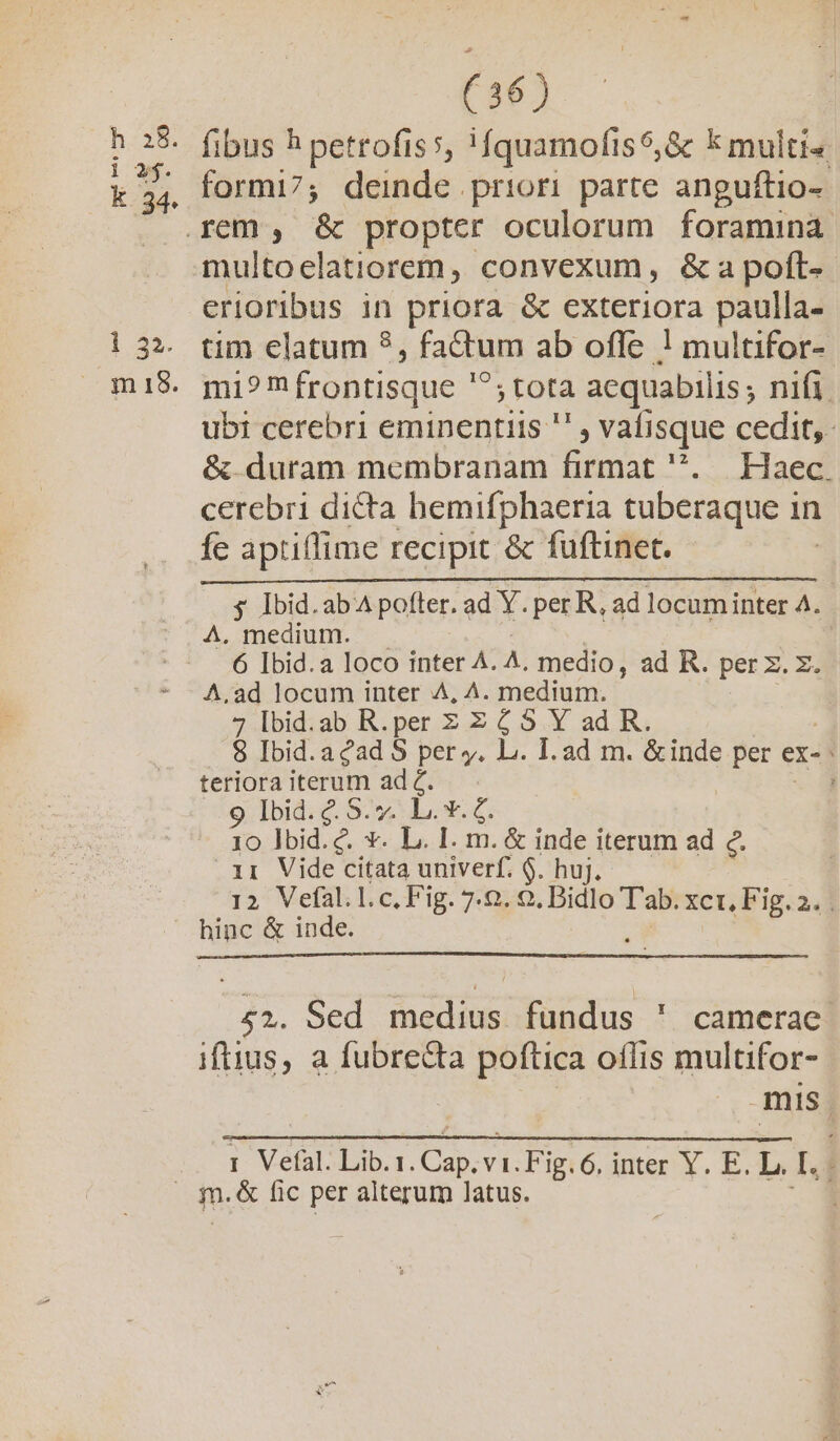b hd k 3i i 22. m 18. (36) fibus h petrofiss, !fquamofis$,8c k multis. formi7; deinde priori parte anguftio- multoclatiorem, convexum, &amp;a poít-- erioribus in priora &amp; exteriora paulla- tim elatum ?, fa&amp;tum ab ofle ! multifor- mi?m frontisque ^ ; tota aequabilis ; nifi. ubi cerebri eminentiis  , vafisque cedit, &amp; duram membranam firmat .— Haec. cerebri dicta hbemifphaeria tuberaque in in fe aptiffime recipit &amp; fuftinet. $ Ibid.ab4 pofter. ad Y. per R, ad locumiinter 4. A. medium. | 6 Ibid. a loco inter 4. ^. medio, ad R. per z. x. A.ad locum inter 4, A. medium. 7 lbid.ab R. per ZZ485 Y ad R. $8 Ibid.acad S per y. L. I. ad m. &amp;inde per e ex-^ terioraiterum adZ. - , 9. Ib $5» ox. 5 10 lbid. c. *. L. I. m. &amp; inde iterum ad c. » iri Vide citata univerf. $. huj. 12 Vefal.l.c,Fig. 7.0. 0. Bidlo Tab. Xct, F'ig.2.j hinc &amp; inde. 52. Sed medius fundus ' camerae iftius, a fubre&amp;ta poftica oflis fouitfara | mus) 1. Vefal. Lib. 1. CL vi.ligió, inter Y. E. Ls 14