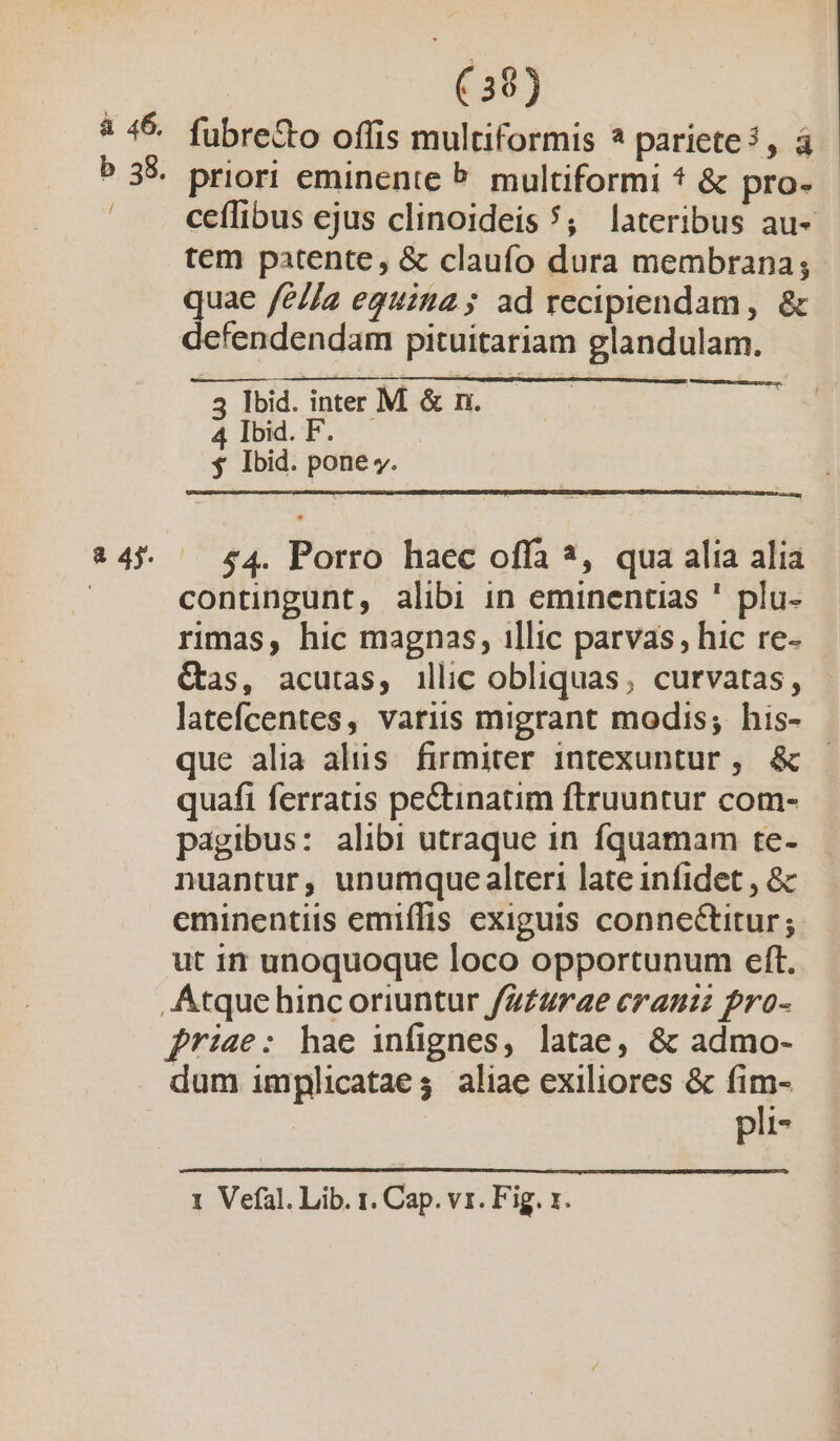 à 46. b 58. a 4j. | (39) fubre&amp;o offis multiformis ? pariete? , à priori eminente P. multiformi * &amp; pro- ceífibus ejus clinoideis 5; lateribus au- tem patente, &amp; claufo dura membrana; Ks fella eguitia5 ad recipiendam, &amp; fendendam pituitariam glandulam. 3 Ibid. inter M &amp; n. 4 Ibid. F. y Ibid. pone y. 54. Porro haec offa 3, qua alia alia contingunt, alibi in eminentias ' plu- rimas, hic magnas, illic parvas, hic re- &amp;as, acutas, illic obliquas; curvatas, latefcentes, variis migrant modis; his- que alia alius firmiter intexuntur , &amp; quafi ferratis pectinatim ftruuntur com- pagibus: alibi utraque in fquamam te- nuantur, unumque alteri late infidet , &amp; eminentiis emiffis exiguis connectitur; ut in unoquoque loco opportunum eft. friae: hae infignes, latae, &amp; admo- dum implicataes aliae exiliores &amp; fim- pli- 1 Veíal. Lib. 1. Cap. vr. Fig. 1.
