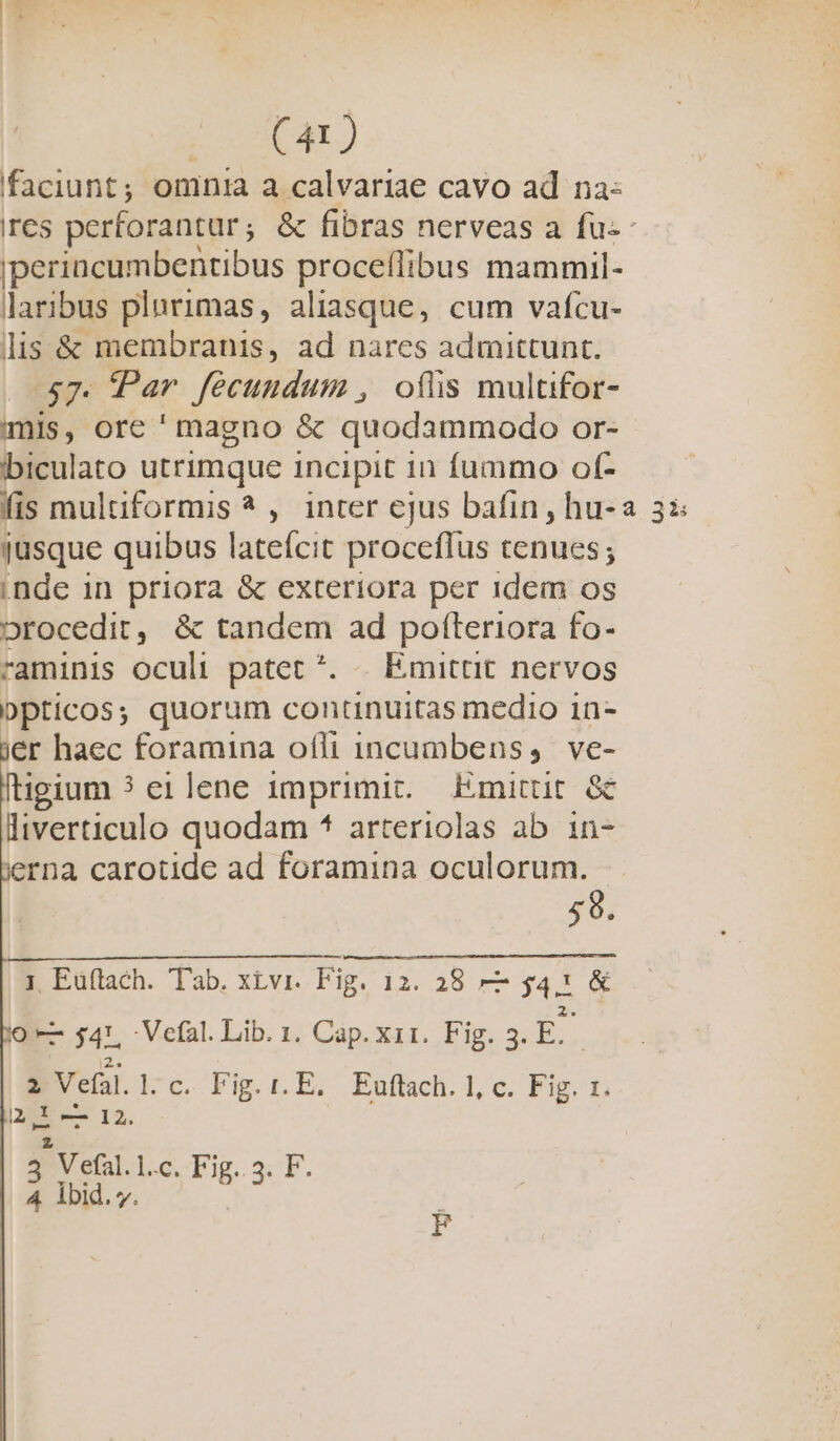 faciunt; omnia a calvariae cavo ad na: res perforantur &amp; fibras nerveas a fü-- iperiacumbentibus proceflibus mammil- laribus plurimas, aliasque, cum vafcu- lis &amp; membranis, ad nares admittunt. $7 Tar fecundum , oflis multifor- mis, ore ' magno &amp; quodammodo or- biculato utrimque incipit 1n fummo of- fis multiformis * , inter ejus bafin , hu-a 3: jusque quibus lateícit procceflus tenues; inde 1n priora &amp; exteriora per 1dem os orocedit, &amp; tandem ad pofteriora fo- raminis oculi patet ^. . Emittit nervos Dpticos; quorum contnuitas medio 1n- er haec foramina ofli incumbens, ve- [tigium ? ei lene imprimit. Emittit &amp; liverticulo quodam ^ arteriolas ab in- erna carotide ad foramina oculorum. 59. I, Eüftach. Tab. xivi. Fig. 12. 28 — $4. &amp; — 4L. :Vefal. Lib. 1. Cap. x11. Fig. 3. E. 2 Vefál. 1. c. Fig. r.E. Euftach. 1, c. Fig. 1 — 12. p i z V efal.1.c. Fig..3. F. E. 5.3 »