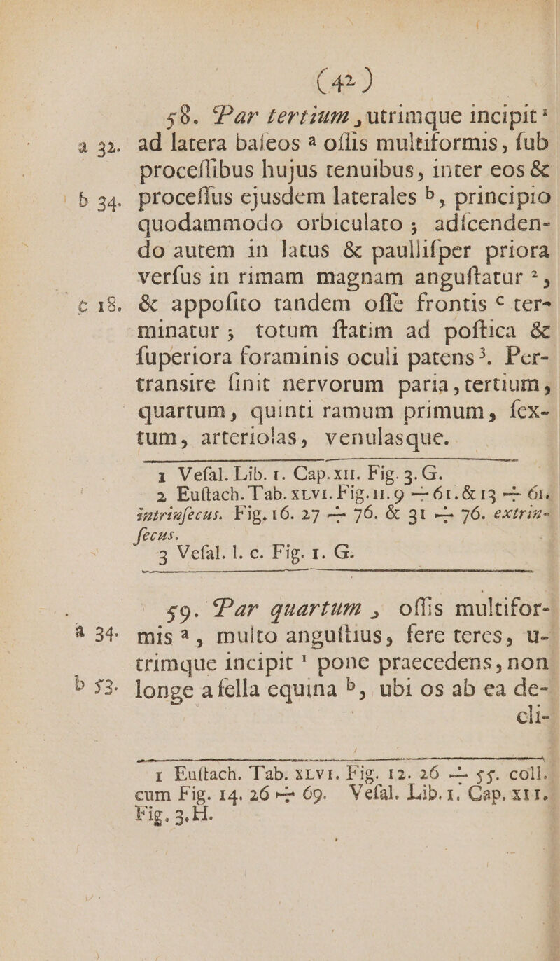 56. Par tertium ,utrimque incipit ad latera baleos à oflis multiformis, fub proceflibus hujus tenuibus, 1nter eos &amp; proceffus ejusdem laterales b, principio quodammodo orbiculato ; adícenden- do autem in latus &amp; paullifper priora verfus 1n rimam magnam anguftatur ? , &amp; appofiro tandem ofle frontis € ter- fuperiora foraminis oculi patens?. Per- transire finit nervorum paria , tertium , quartum , quinti ramum primum, íex- tum, arterioias, venulasque. 1 Vefal. Lib. r. Cap. xir. Fig. 5. G. 2 Eu(tach. T'ab. xzvi. Fig.u. 9 — 61.&amp; 13 — 6r iutrie[ecus. Fig. 16. 27 — 76. &amp; 31 —— 76. extrin- fecus. S Vel T c TIE T. x $9. Par quartum , ollis multifor- mis?, multo anguílius, fere teres, u- longe afella equina 2: ubi os ab ea de-. cli- 1 Euítach. Tab. xrvr. Fig 12. 26 —— $$. coll. cum Fig. 14. 26 —— 69. Vefal. Lib. 1, Cap. xt 1. Eg. 3. HI.