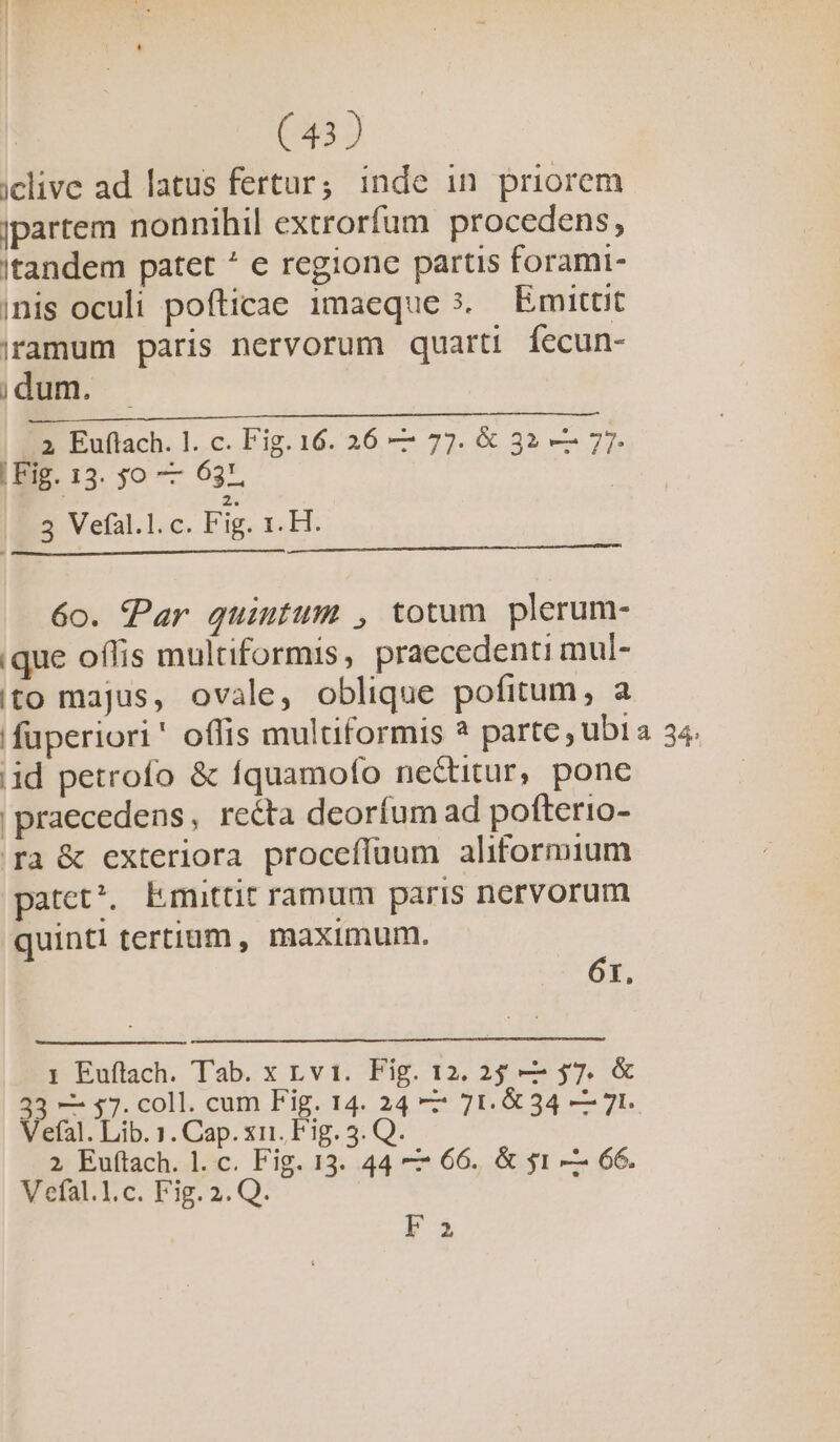 iclive ad latus fertur; inde in. priorem jpartem nonnihil extrorfum procedens, itandem patet * e regione partis forami- inis oculi pofticae imaeque 5. Emittit jramum paris nervorum quarti fecun- jdum. - — ITSRIENCCUNSR m 2 Euftach. l. c. Fig. 16. 26 — 77. &amp; 32 — 77. IBIP. 13. jo —— 63, : 2. 3 Vefal.l.c. Fig. 1. H. 6o. Par quintum , totum plerum- que offis multiformis, praecedenti mul- ito majus, ovale, oblique pofitum, a füperiori' offis multiformis ? parte, ubt a 34. iid petrofo &amp; fquamofo ne&amp;titur, pone praecedens, reéta deorfum ad pofterio- fa &amp; exteriora proceffuum aliformium patet*. Emuttit ramum paris nervorum quinti tertium , maximum. 61, 1 Euftach. Tab. x Lvi. Fig. 12 2; — $7. &amp; 33 — 37. coll. cum Fig. 14. 24 —— 71.634 — 7r. Vefal. Lib. 1. Cap. xii. Fig. 5. Q. an 2 Euftach. l. c. Fig. 13. 44 — 66. &amp; $1 — 66. V efal.1.c. Fig. 2.Q. : F2