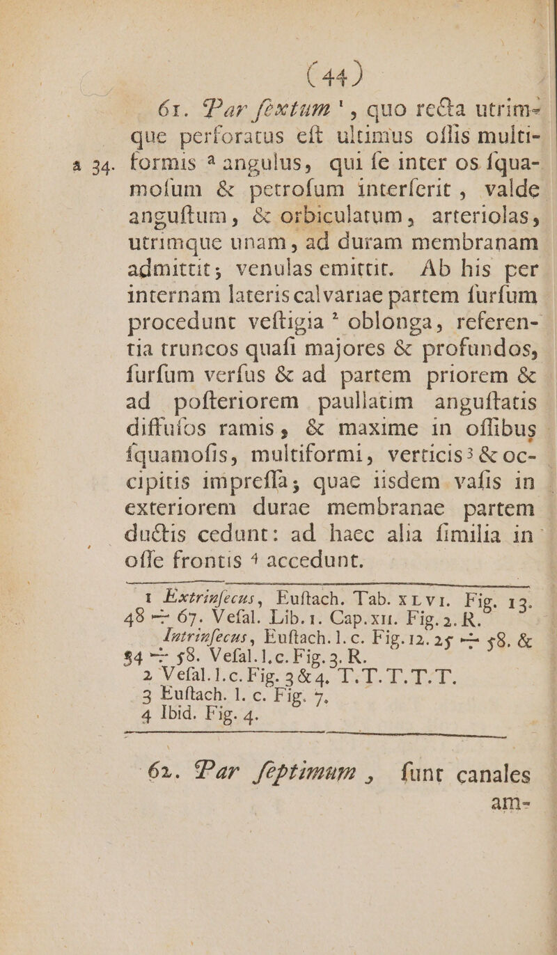 6r. fPar féxtum ' , quo re&amp;a utrim- que perforatus eft ultimus oflis multi- formis ? angulus, qui fe inter os fqua-.- mofíum &amp; pctrofum interícrit ,. valde. anguftum, &amp; orbiculatum, arteriolas, utrimque unam , ad duram membranam admittit; venulas emittit. Ab his per internam lateris calvariae partem furfum procedunt veftigia * oblonga, referen- tia truncos quafi majores &amp; profundos, furfum verfus &amp; ad. partem priorem &amp; ad pofteriorem | paullatim anguftatis diffuios ramis, &amp; maxime in offibug - íquamofis, multiformi, verticis?&amp; oc- | cipitis imprefla; quae iisdem vafis in | exteriorem. durae membranae partem du&amp;is cedunt: ad haec alia fimilia in: offe frontis ^ accedunt. 1 Extriz[ecus, Euftach. Tab. XL vr. Pi qe 49 — 67. Vefal. Lib. 1. Cap.xi. Fig.3. R. | lutrizfecus, Euftach.l.c. Fig.12.25 —— $48. &amp; $4 — $9. Vefal.l,c. Fig. 3. R. a Vela. Lcqpe seu Iq qr. 3 Euftacn. Tc, Fig, s 4 Ibid. F'ig. 4. 62. fPar feptimum , funt canales aln-