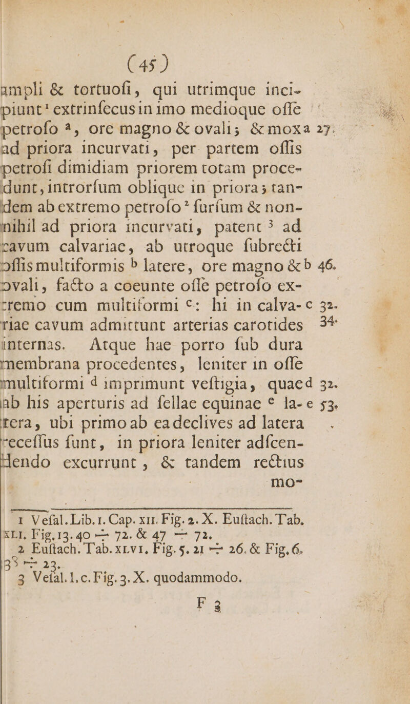 ampli &amp; tortuofi, qui utrimque inci- piunt' extrinfecusin imo medioque offe petrofo *, ore magno &amp; ovali; &amp; moxa 27. ad priora incurvati, per partem oflis petrofi dimidiam priorem totam proce- dunt , introrfum oblique in priora; tan- idem ab extremo petroío* furfum &amp; non- nihil ad priora incurvati, patent? ad cavum calvariae, ab utroque fubrecti ovali, fa&amp;to a coeunte offe petrofo ex- tremo cum multítormi €: hi in calva- c 32. riae cavum admirtunt arterias carotides 3* internas. Atque hae porro fub dura membrana procedentes, leniter 1n ofle multitormi d imprimunt veftigia, quaed 32. ab his aperturis ad fellae equinae * la- e 53. rera, ubi primoab eadeclives ad latera eceffus funt, in priora leniter adícen- endo excurrunt , &amp; tandem rectius | amo- 1 Vefal.Lib.r. Cap. xir. Fig. 2. X. Euftach. T'ab. KBICFig.13. 40 — 72. 6 47 — 71. 2 Eultach. Tab.xrvr, Fig. s. a1 —- 26. &amp; Fig. 6. s 3. 3 Vetal.l.c.Fig.3. X. quodammodo. Fà S