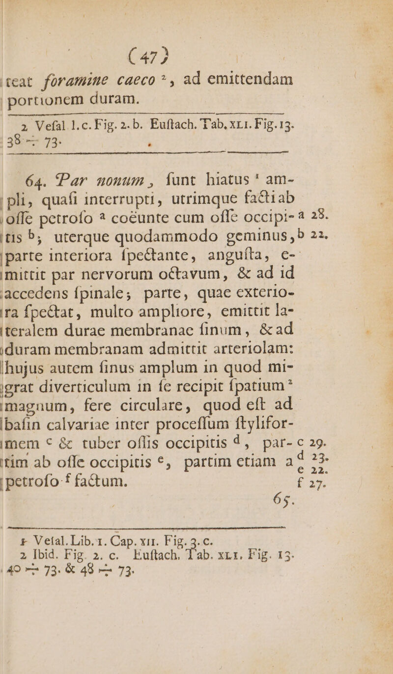 (eat foramine caeco *, ad emittendam | portionem duram. | 2 Vefal L.c.Fig.2.b. Euftach. Tab. x1. Fig.13. | 38 — 73:  a ——— 64. (Par nonum, Ííunt hiatus ' am- |pli, quafi interrupti, utrimque factiab ;offe petrofo * coeunte cum ofle occipi- à 25. tis 5; uterque quodammodo geminus b 22. |parte interiora fpectante, anguíta, €- imittit par nervorum octavum, &amp; ad id accedens fpinale; parte, quae exterio- 'ra fpe&amp;tat, multo ampliore, emittit la- iteralem durae membranae finum , &amp; ad jduram membranam admittit arteriolam: hujus autem finus amplum in quod mi- igrat diverticulum 1n fc recipit fpatium * magnum, fere circulare, quod eft ad Ibafin calvariae inter proceffum ftylifor- imem * &amp; tuber oflis occipitis 1, par- c 9. itim ab offe occipitis , partim etiam E. MA | petrofo f factum. f 27. 65. &amp;. Velal. Lib. 1. Cap. xir. FIR €. 2 Ibid. Fig. 2. c. Euftach. Tab. xr 1. Fig. 13. (40 c7 73. &amp; 48 —— 73. ENTE
