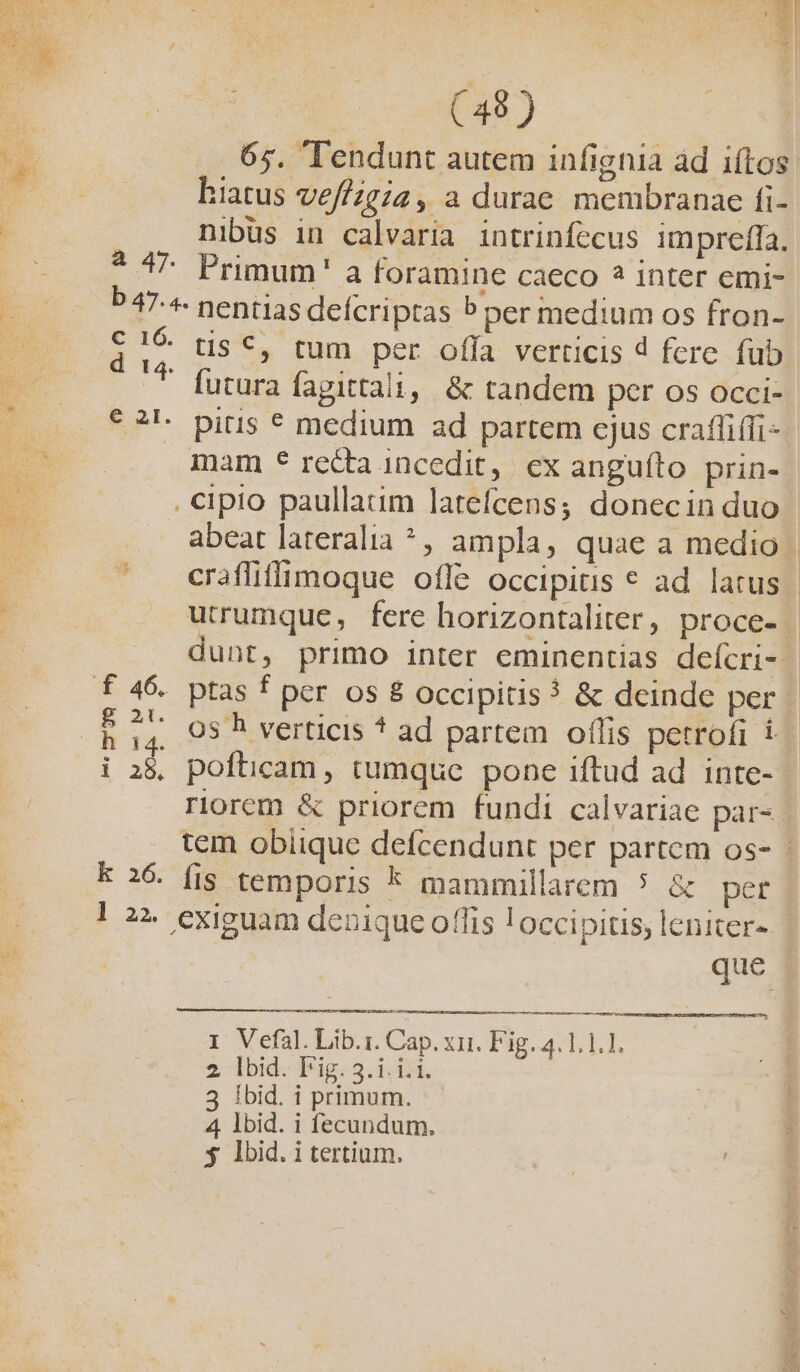 65. Tendunt autem infignia àd iftos hiatus vef/zgia, a durae membranae fi- nibus in calvaria intrinfecus imprefía. * 47^ Primum' a foramine caeco ? inter emi- b 47. nentias defcriptas b per medium os fron- $19 tis €, tum per offa verticis d fcre füb ^ futura fagittali, &amp; tandem per os occi- * 2l. bitis € medium ad partem cjus crafliffi- mam € recta incedit, ex anguíto prin- . cipio paullaum latefcens; donecin duo abeat lateralia ^, ampla, quae a medio f 4 : (4. Os h verticis * ad partem offis petrofi í 1 9o riorem &amp; priorem fundi calvariae par- [! * 26. fis temporis * mammillarem 5 &amp; per | 2? exiguam denrique offis loccipitis, leniter- que ———— M 1 Vefal. Lib.r. Cap. xir. Fig. 4.1.1.1. 2 Ibid. drip. 5.1 05 3 ibid. i primum. 4, lbid. i fecundum. $ lbid. i tertium. f