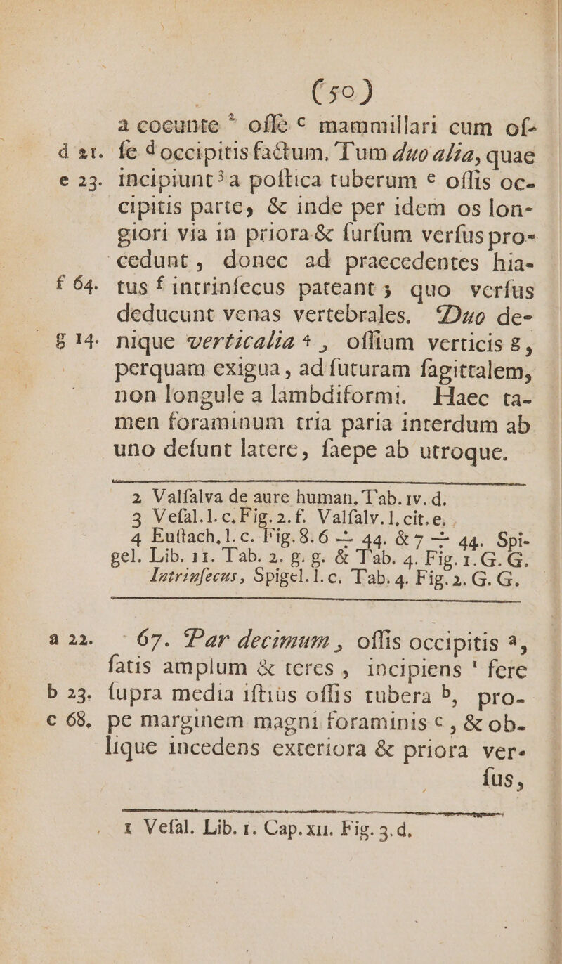 à 22. b 25. c 68, (50) a cocunte ^ offe € mammillari cum of- incipiunt?a poftica tuberum * oflfis oc- cipitis parte, &amp; inde per idem os lon- giori via in priora &amp; furfum verfus pro- tus f intrinfecus pateant; quo verfus deducunt venas vertebrales. 220 de- nique verfzcalia * , oíliam verticis E, perquam exigua , ad futuram fagittalem, non longule a lambdiformi. Haec ta- men foraminum tria paria interdum ab uno defunt latere, faepe ab utroque. 2, Valíalva de aure human, T'ab. iv. d. 3 Vefal.l.c.Fig.2.f. Valfalv.l,cit.e. . 4 Euttach.l.c. Fig.8.6 — 44. &amp; 7 — 44. Spi- gel. Lib. 11. Tab. 2. g. g. &amp; Tab. 4. Fig. 1. G. G. Jntrinfecus , Spigel.l.c. T'ab.4. Fig.2. G. G. | 67. Par decimum , oflis occipitis 3, fatis amplum &amp; teres , incipiens ' fere (upra media iftius offis tubera b, pro- pe marginem magni foraminis € , &amp; ob- lique incedens exteriora &amp; priora ver- fus,