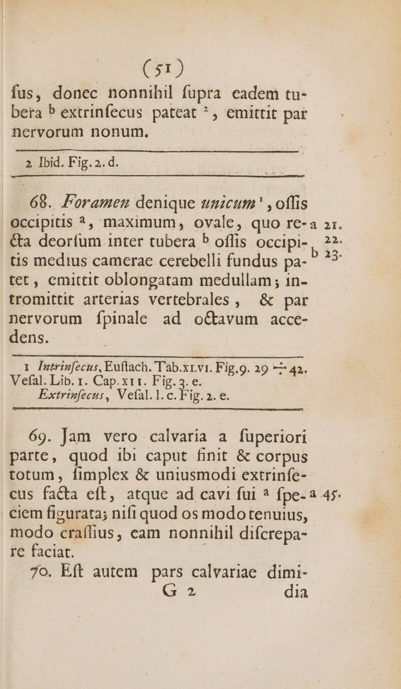 fus, donec nonnihil fupra eadem tu- bera P extrinfecus pateat ^, emittit par nervorum nonum. 2. Ibid. Fig. 2. d. 68. Foramen denique ugzcum' , offis Occipitis ?, maximum, ovale, quo re-a zr. &amp;a deorfum inter tubera P oflfis occipi- , 22- tis medius camerae cerebelli fundus pa-  * tet, emittit oblongatam medullam; in- tromittit arterias vertebrales , &amp; par nervorum Íípinale ad octavum acce- dens. 1 [mtrimfecus, Euflach. 'T'ab.xrvi. Fig.9. 29 —— 42. V efal. Lib. 1. Cap. xit. Fig. 3. e. Extrinfeeus, V eial.1.c. Fig. 2. e. 69. Jam vero calvaria a fuperiori parte, quod ibi caput finit &amp; corpus totum, fimplex &amp; uniusmodi extrinfe- cus facta eft, atque ad cavi fui ? fpe-a 45. ciem figurata; nifi quod os modotenuius, modo craflius, eam nonnihil difcrepa- re faciat. 7o. Eft autem pars calvariae dimi- G 2 dia