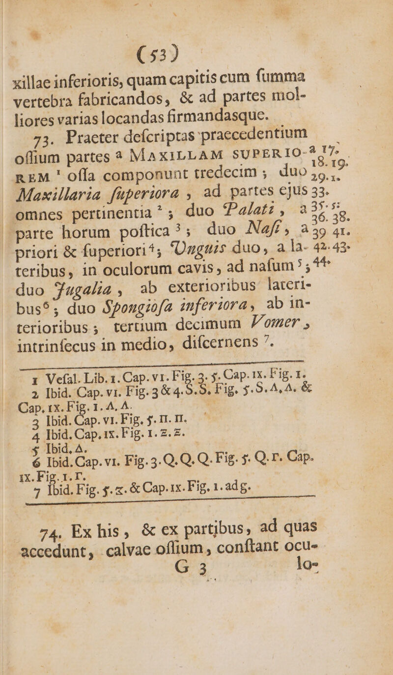 ^ &amp; Ue (53) xillae inferioris, quam capitis cum fumma vertebra fabricandos, &amp; ad partes mol- liores varias locandas firmandasque. 73. Praeter deícriptas praecedentium offium partes * MAXILLAM SUPERIO-2.!7 . REM ' offa componunt tredecim ; duo? Maxillaria fuperiora , ad partes cjus 33. omnes pertinentia ^ ; duo Pa/afz , 3377s parte horum poftica ? ; duo AN4//, à39 21. priori &amp; fuperiori *; Ougtis duo, ala- 42.49. teribus, in oculorum cavis , ad nafum? ,4* duo 5a4gelia , ab exterioribus lateri- bus?; duo $pongsofa inferiora, ab in- terioribus ; tertium decimum oer , intrinfecus in medio, diícernens . HÀ A TRRUEEONEGD, 000 c, CENE 1 Vefal. Lib. 1. Cap. v1. Fig 3. s. Cap. rx. Fig. 1. 2, Ibid. Cap. vr. Fig. 3&amp; 4.5.5. Fig. 34.9.4, A&amp; Cap. ix. Fig. 1. A. A. A 5 Ibid. Cap. vi. Fig. $. I1. IT. 4 Ibid. Cap. 1x. Fig. 1. 2. 7. $ Ibid. A. | 6 Ibid. Cap. v1. Fig. 3.Q. Q. Q. Fig. 5. Q. r* Cap. ix. Fig. 1.T. 7 lbid. Fig. s. &amp;. &amp; Cap. ix. Fig. 1.adg. — 24. Ex his, &amp; ex partibus, ad quas accedunt, calvae oíffium , conftant ocu- G3 lo- E