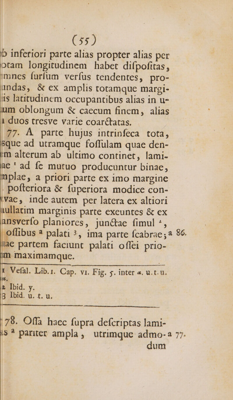 b inferiori parte alias propter alias per otam longitudinem habet difpofitas, mnes furfum verfus tendentes, pro- andas, &amp; ex amplis totamque margi-  latitudinem occupantibus alias in u- m oblongum &amp; caecum finem, alias 1 duos tresve varie coarctatas. .77. À parte hujus intrinfeca tota, 8que ad utramque foffulam quae den- m alterum ab ultimo continet, lami- a€ ' ad fe mutuo producuntur binae, plae, a priori parte ex imo margine . pofteriora &amp; fuperiora modice con- Vac, inde autem per latera ex altiori aullatim marginis parte exeuntes &amp; ex ansverfo planiorcs, jun&amp;ae fimul ^, .offibus 3 palati 5, ima parte fcabrae; 86. i€ partem faciunt palati offei prio- im maximamque. t Vefal. Lib.r. Cap. vi. Fig. 5. inter «. u.t.ü. » » Ibid. y. g Ibid. u. t. u. 79. Offà haec fupra defcriptas lami- /|5* pariter ampla, utrimque admo- a 77. dum