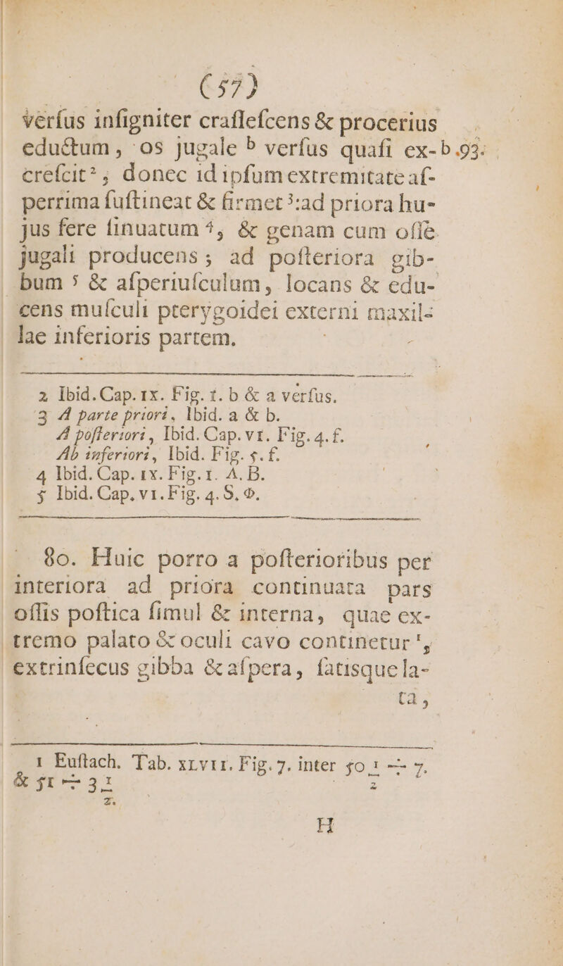 RIT) verfus infigniter craflefcens &amp; procerius edu&amp;tum , 0s jugale 5 verfus quafi ex-b.93. creícit^; donec id ipfum extremitate af- perrima fuftineat &amp; firmet *:ad priora hu- jus fere finuatum 5, &amp; genam cum ofle jugali producens; ad polteriora gib- bum 5 &amp; afperiufculum, locans &amp; edu- | tens muí(culi pterygoidei externi maxil- | lae inferioris partem. : o — 2 lIbid.Cap. 1x. Fig. t. b &amp; a verfus. 3 4 parte priori, lbid. a &amp; b. | 4 pofieriori , Ibid. Cap.vr. F'ig. 4. f. Ab ipferiori, lbid. Fig. s. f. 4 Ibid. Cap. ix. Fig. 1. A. B. y Ibid. Cap, v1. Fig. 4. 5, 9. lances 0o. Huic porro a pofterioribus per interiora ad priora continuata pars | offis poftica fimul &amp; interna, quae ex- tremo palato &amp; oculi cavo continetur ', extrinfecus gibba &amp;afpera, fatisque la- (à, t Euftach. Tab. xrvir. Fig. 7. inter $0: — 7. &amp; $1——31 EL. z. H