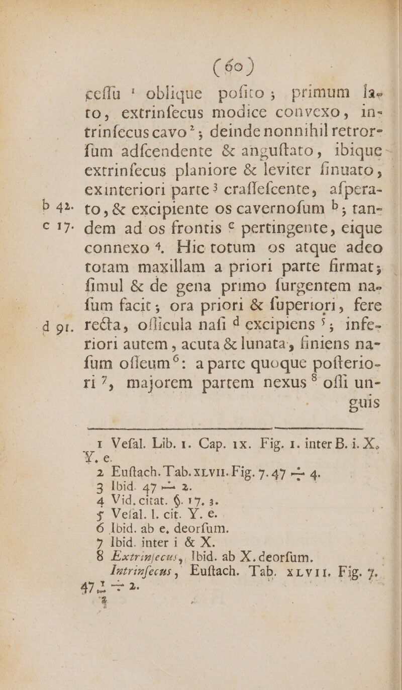 C 17. tO, extrinfecus modice convexo, in- trinfecus cavo? ; deinde nonnihil retror- exinteriori parte? craffefcente, afpera- to, &amp; excipiente os cavernofum b; tan- dem ad os frontis € pertingente, eique connexo ^ Hictotum os atque adco toram maxillam a priori parte firmat; fimul &amp; de gena primo furgentem na- fum facit; ora priori &amp; fuperiori, fere riori autem , acuta &amp; lunata, finiens na- fum ofleum?: a parte quoque pofterio- r?, majorem partem nexus? ofli un- guis zh Vefal. Lib. 1. Cap. 1x. Fig. 1. inter B. i. X; 2 Euftach. Tab. xLvir. Fig. 7.47 —— 4. 3 Ibid. 47 exa 2. 4 Vid. citat. $. 17, s. $ Veíal. l. cit. Y. e. 6 lbid. ab e, deorfum. 7 lbid. inter i &amp; X. 8 Extrinjecusr,, Vbid. ab X.deorfum. i m