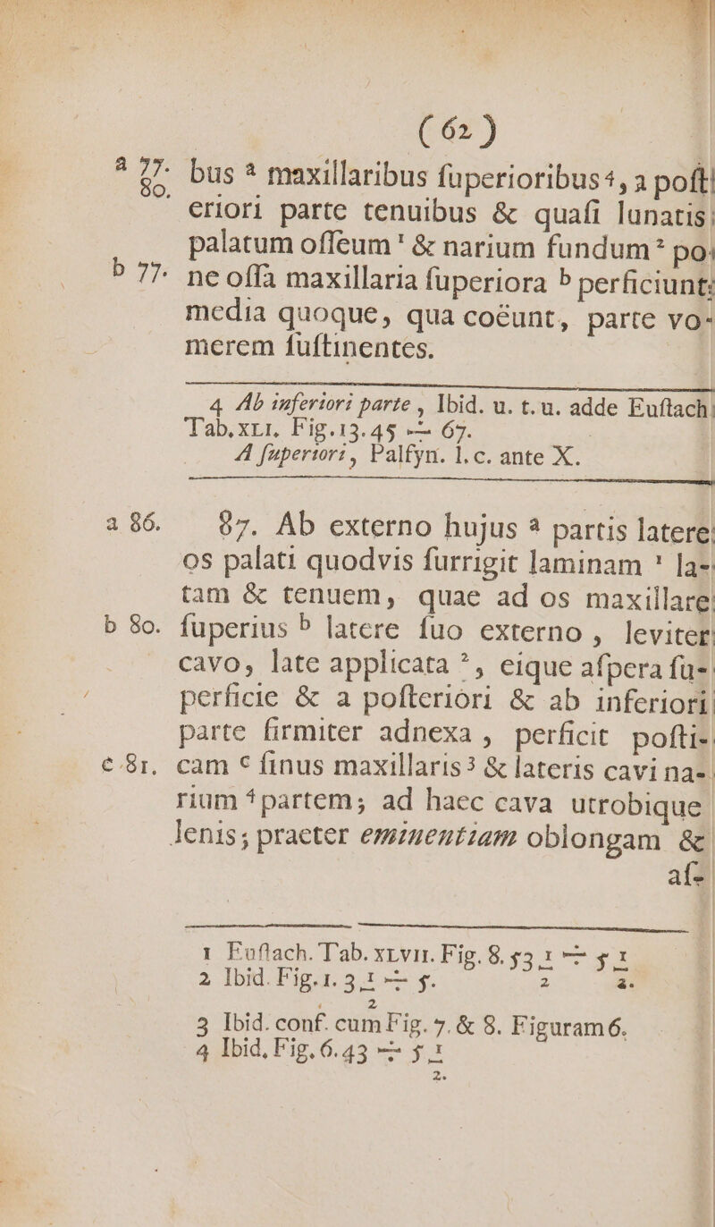 :  k r : 3. 2 | ( 6») bus * maxillaribus fuperioribus, a poft eriori parte tenuibus &amp; quafi lunatis; palatum offeum ' &amp; narium fundum? po; ne offa maxillaria fuperiora 5 perficiunt; media quoque, qua coéunt, parte vo- merem fuftinentes. 4 Ab mafertori parte , Ibid. u. t. a. adde Euftach: Tab.xrr. Fig.13.45 — 67. | | 4 fuperiori, Palfyn. l.c. ante X. ACREGU cam d TC MM NE 907. Ab externo hujus ? partis latere: os palati quodvis furrigit laminam ' la-: tam &amp; tenuem, quae ad os maxillare: cavo, late applicata *, eique afpera fue | perficic &amp; a pofteriori &amp; ab inferiori; parte firmiter adnexa , perficit. pofti- rium *partem; ad haec cava utrobique | af- | 1 Euflach. T'ab. xvii. Fig. 8. $2 eap 2 Ibid. Fig. 1. 5,1 —— s. 2 a.  2 3 Ibid. conf. cum Fig. 7. &amp; 8. Figuram6. 4 Ibid, Fig. 6.43 ——- $1