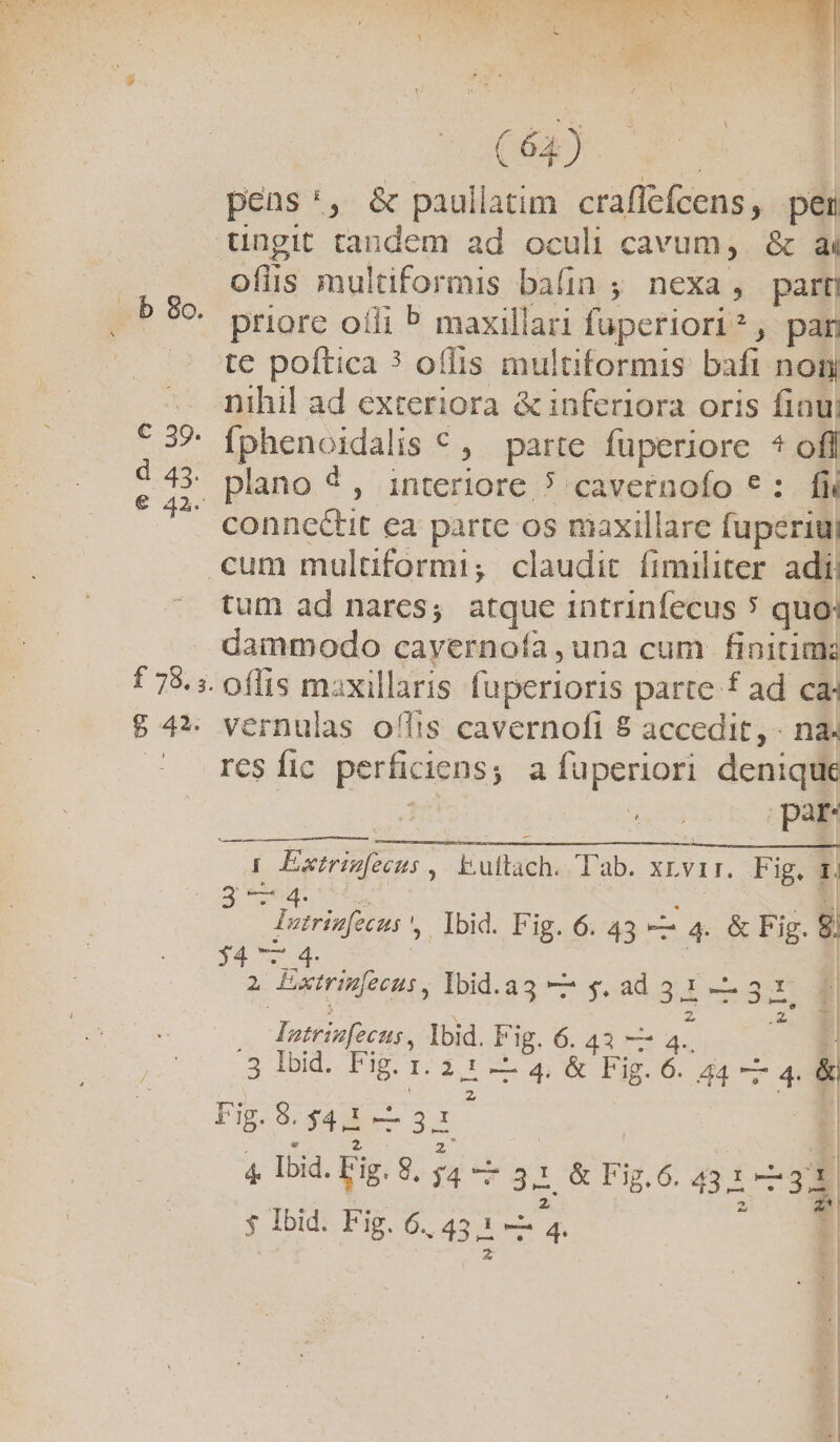 pens:, &amp; paullatim craffefcens, pem ungit tandem ad oculi cavum, &amp; ài oflis multiformis balin ; nexa, part! * priore otli ^ maxillari fuperiori? , pam te poftica ? oílis imultiformis bafi non — nihil ad exteriora &amp; inferiora oris finui * 329 fphenoidalis €, parte fuperiore * ofi E M. plano 4 ; interiore 5 cavernofo e: fi conncctit ea parte os maxillare fuperiui cum multiformi; claudit fimiliter adi, tum ad nares; atque intrinfecus 5 quo: dammodo cayernofa una cum finitima t 78. offis maxillaris fuperioris parte f ad ca: $ 4* vernulas ollis cavernofi 8 accedit, - na. .' r6$Ííic perficiens; a fuperiori denique | par (b go —— ÉL cr | Exiripfeeus, buftach. Tab. xLvir. F ig. T (d tee te E Iorisfeens', lbid. Fig. 6. 43 —- 4. &amp; Fig. 8) $4 7.4 | | 2 Extripfeeui, lbid.ag — g.ad 33-3. | Iatrinfecns , Ibid. Fig. 6. 43 c , : 3 Ibid. Pig. 1. 2,1 -- 4. &amp; Fig. 6. 44 —49 Fig.S.y4i-t 31. | E NC T EE s d iod ud 4 lod. iig. 9. sa o3 &amp; Fij.6. 491 NE 1 2 3 z* $ Ibid. Fig. 6. 43 1 — 4. 1