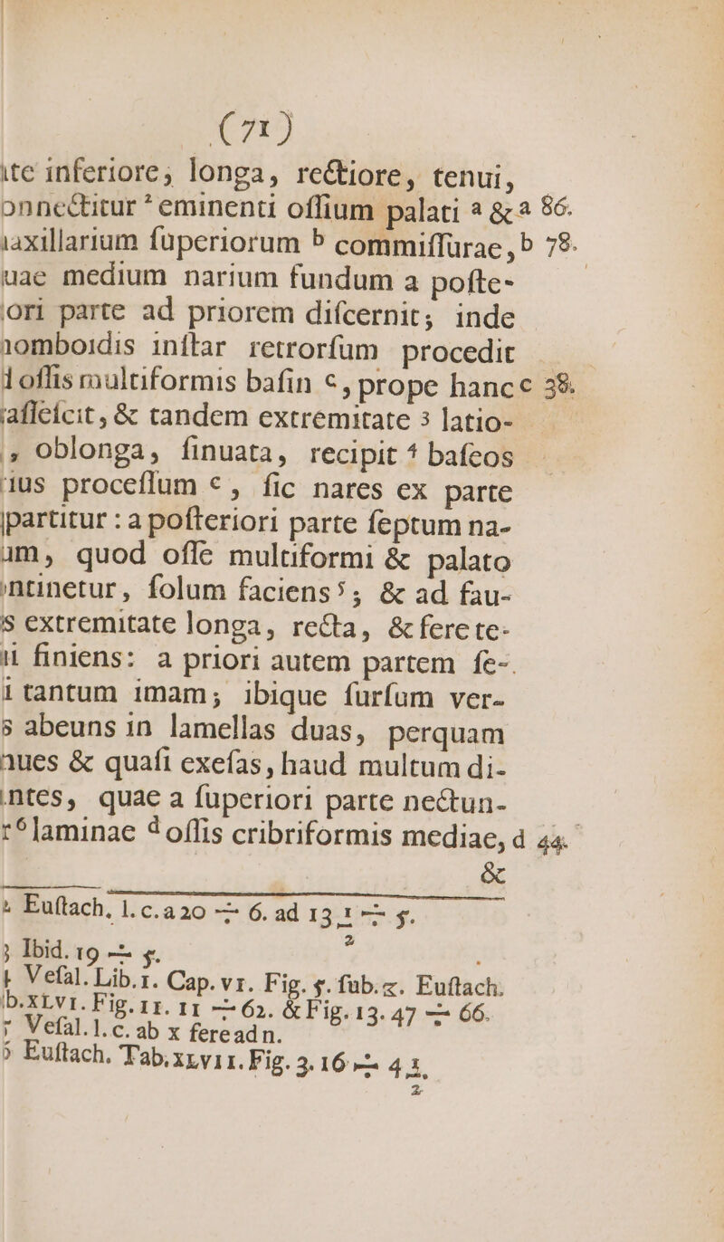 X71 ite inferiore; longa, re&amp;iore, tenui, - onncé&amp;titur * eminenti offium palati ? &amp; 86- iaxillarium fuperiorum 5 commiffürae , b 7$. uae medium narium fundum a pofte- ori parte ad priorem difcernit; inde 1omboidis inflar retrorfum procedit 1oflis multiformis bafin €, prope hanc 38: afleícit, &amp; tandem extremitate 3 latio- ,, Oblonga, finuata, recipit * bafeos 1us proceflum €, fic nares ex parte partitur : a pofteriori parte feptum na- um, quod offe multiformi &amp; palato ntnetur, folum faciens; &amp; ad fau- s extremitate longa, recta, &amp;ferete- || finiens: a priori autem partem fe-. 1tantum imam; ibique furfum ver- s abeuns in. lamellas duas, perquam aues &amp; quafi exefas, haud multum di- tes, quae a fuperiori parte nectun- :^laminae 3 offis cribriformis mediae, d 44. | &amp; » Euftach, 1. c.a 20 — 6. ad 13: to y. ; Ibid. 19 — s. y | Vefal. Lib.z. Cap. vr. F ig. y. füb.z. Euftach. b.xrvi. Fig. 11. 11 — 63. &amp; Fig. 13. — 66. * Vefal.l.c.ab x fereadn. RR $ Euftach. Tab.xzvi 1. Fig. 3.16 —— 4.1.
