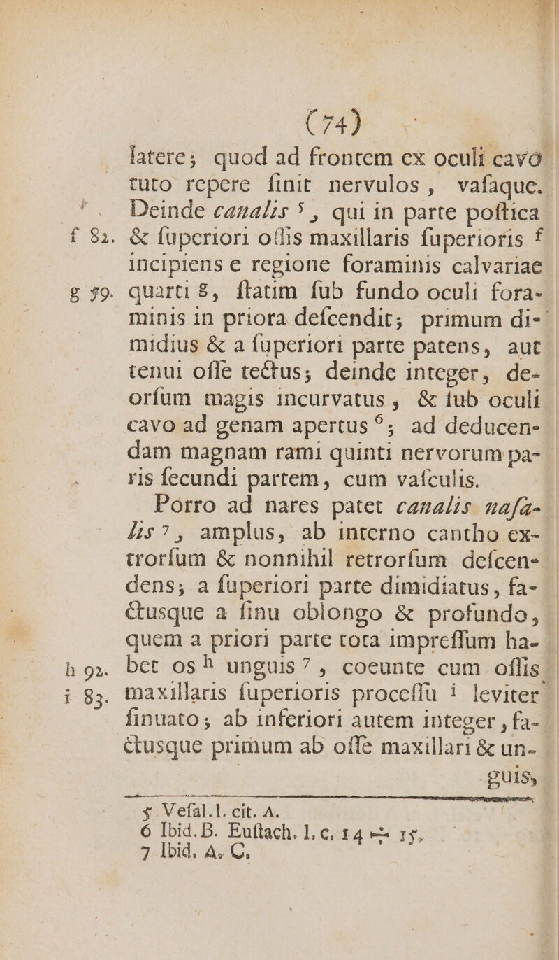 h 92. C74) Deinde caza/zs ? , qui in parte poftica &amp; fuperiori oflis maxillaris fuperioris f incipiens e regione foraminis calvariae quarti £, ftatum fub fundo oculi fora- orfum magis incurvatus , &amp; fub oculi cavo ad genam apertus ^; ad deducen- ris fecundi partem, cum vafculis. 457, amplus, ab interno cantho ex- dens; a fuperiori parte dimidiatus , fa- &amp;usque a finu oblongo &amp; profundo, étusque primum ab offe maxillari &amp; un- | gUlSy y Vefal.l. cit. A. 6 Ibid.D. Euftach. 1, c. 14 e r5,