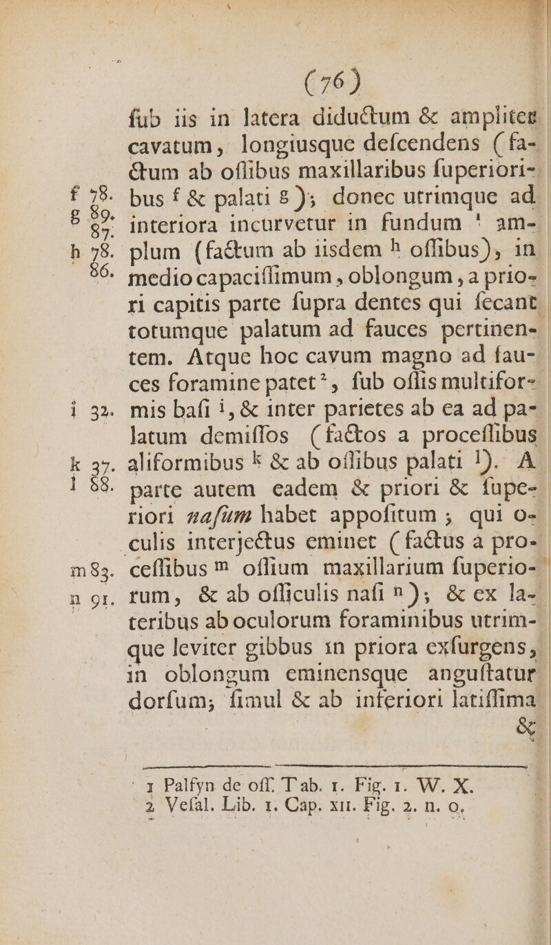 cavatum ,' longiusque defcendens ( fa- bus f &amp; palati $);. donec utrimque ad latum demiffos (fa&amp;os a proceflibus j - 1 Palfyn de off. T'ab. x. Fig. ri. W. X.