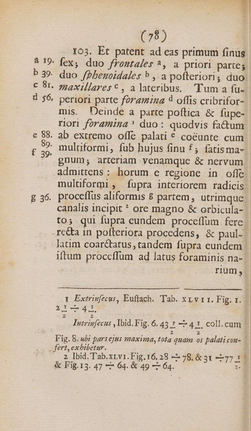b 39. fex, duo froutales ^, a priori partes periori parte fora: 4 offis cribrifor- mis. Deinde a parte poftica &amp; füpe- ror foramina duo: quodvis factum gnum; arteriam yenamque &amp; nervum iftum proceffum ad latus foraminis na- i rium, $128 j : Iotrinfecus , Ibid. Fig. 6. 45,* 74.1, coll.cum z z Vig. 5. ub: parsejus maxima, tota quam os palati con- 2 Ibid. l'ab.xrvri.Fig.16. 28 - 78. &amp; 31 75 1 &amp; Fig.13. 47 —— 64. &amp; 49 —— 64.  eat 