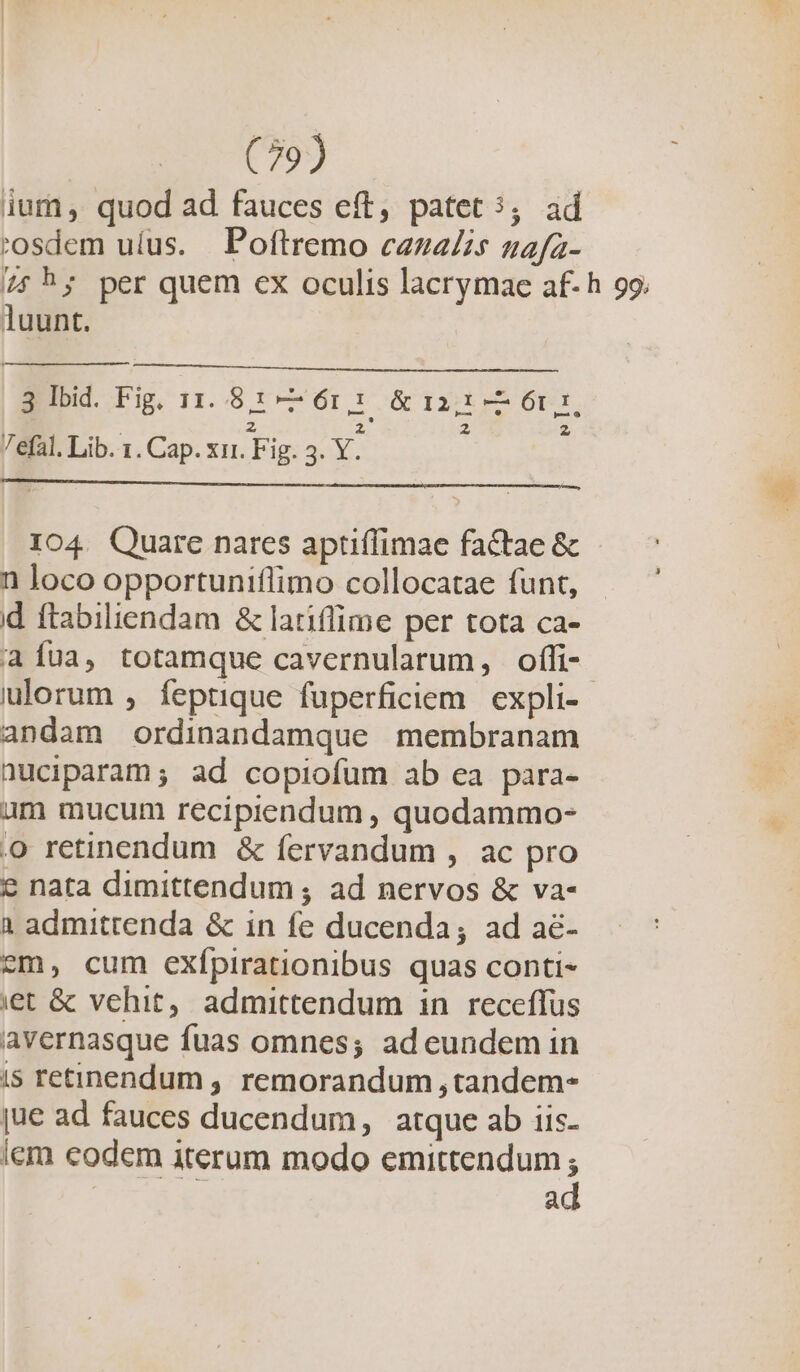 ium, quod ad fauces eft, patet 5; ad 'osdem ulus. Poftremo cazaZis uafa- 75b; per quem ex oculis lacrymae af- h 99. luunt. 3 Ibid. Fig. 11. 81 — 61,1: &amp; 12,1 — 61: ; ; 2 7efàl. Lib. 1. Cap. xi. Fig. z vg : IO4. Quare nares aptiffimae factae &amp; 1 loco opportuniflimo collocatae funt, d ftabiliendam &amp; latiffime per tota ca- àaíua, totamque cavernularum, offi-- ulorum , feptique fuperficiem | expli- andam ordinandamque membranam nuciparam; ad copiofum ab ea para- am mucum recipiendum , quodammo- o retinendum &amp; fervandum , ac pro € nata dimittendum ; ad nervos &amp; va- à admittenda &amp; in fe ducenda; ad aé- cm, cum exípirationibus quas conti- iet &amp; vehit, admittendum in .receffus avernasque fuas omnes; ad eundem in is retinendum , remorandum , tandem- jue ad fauces ducendum, atque ab iis- iem codem iterum modo emittendum : | à