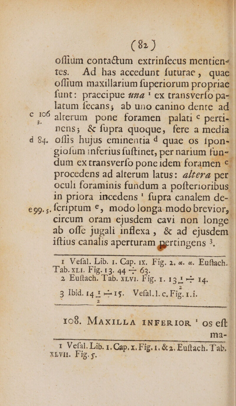 | 3. d 84. oílis hujus eminentia d quae os ipon-. giofum inferius fuftinet, per narium fun | dum ex transverío pone idem foramen d procedens ad alterum latus: 4/fera per | oculi foraminis fundum a pofterioribus in priora incedens ' fupra canalem de-. | iftius canalis aperturam gyrüngens 3. Tab.xrr. Fig. 13. 44 — 63. 2 Euftach. T'ab. xrvi. Fig. 1. 135,1 —— 14. 5 Ibid. 14,1 -—— 15. Vefal.l.c, Fig. r.i. 109. MAXILLA INFERIOR ' os eft. à; | ma- - Xivir. Fig.y.