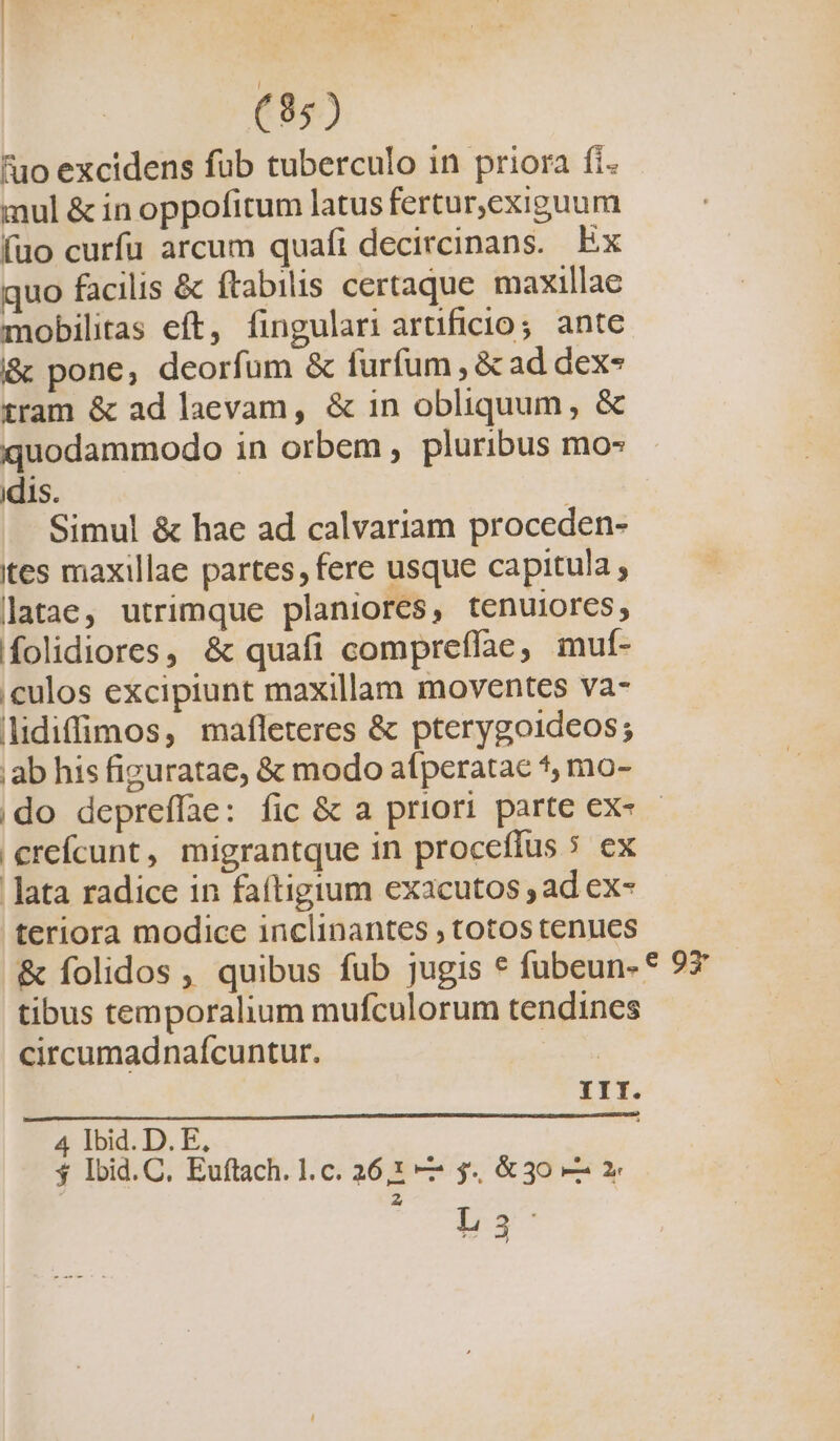 fuo excidens fub tuberculo in priora fi. mul &amp; in oppofitum latus fertur,exiguum (uo curfu arcum quafi decircinans. Ex quo facilis &amp; ftabilis certaque maxillae mobilitas eft, fingulari artificio; ante i&amp; pone, deorfum &amp; furfum , &amp; ad dex- tram &amp; ad laevam, &amp; in obliquum, &amp; quodammodo in orbem , pluribus mo- idis. Simul &amp; hae ad calvariam proceden- tes maxillae partes, fere usque capitula ; latae, utrimque planiores, tenuiores, folidiores, &amp; quafi compreflae, muí- ,culos excipiunt maxillam moventes va- lidiffimos, mafleteres &amp; pterygoideos; ab his figuratae, &amp; modo afperatac *, mo- |do depreffae: fic &amp; a priori parte ex- - |erefícunt, migrantque in proceflus 5 ex lata radice in faftigium exacutos ad ex- teriora modice inclinantes ; totos tenues &amp; folidos, quibus fub jugis * fubeun- * 97 tibus temporalium mufculorum tendines circumadnaícuntur. | III. à 4 lbid. D. E, $ lbid. C. Euftach. 1. c. 26,: —- $4. &amp;30— x Z L3: