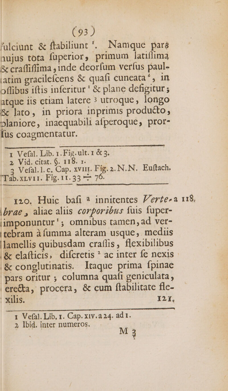f'ulciant &amp; ftabiliunt '. Namque paré nujus tota fuperior, primum latiflima &amp; craffiffima , inde deorfum veríus paul. ;iatim gracileícens &amp; quafi cuncata*, in oflibus iftis inferitur ' &amp; plane defigitur ; atque iis etiam latere ? utroque, longo Sc lato, in priora inprimis producto, olaniore, inaequabili afperoque, pror- fus coagmentatur. | i Vefàl. Lib. 1. Fig. ult. 1 &amp; 3. 2 Vid. citat. $. 118. r. | 3 Vefal.1.c. Cap. xvii. Fig. 2. N. N. Euftach. Tab.xrvir. Fig. 11. 33 — 76. ^ 120. Huic báfi ? innitentes //erfe^a 118, ibrae , aliae aliis corporibus fuis fuper- liimponuntur'; omnibus tamen, ad ver- tebram à furama alteram usque, mediis llamellis quibusdam craffis, flexibilibus |;&amp; elafticis, difcretis ? ac inter fe nexis |&amp; conglutinatis. Itaque prima fpinae pars oritur ; columna quafi geniculata, | ere&amp;a, procera, &amp; cum ftabilitate fle- . Xllis. I2I, 1 Vefal. Lib, 1. Cap. xiv.a 24. ad 1. 2, Ibid. inter numeros. M