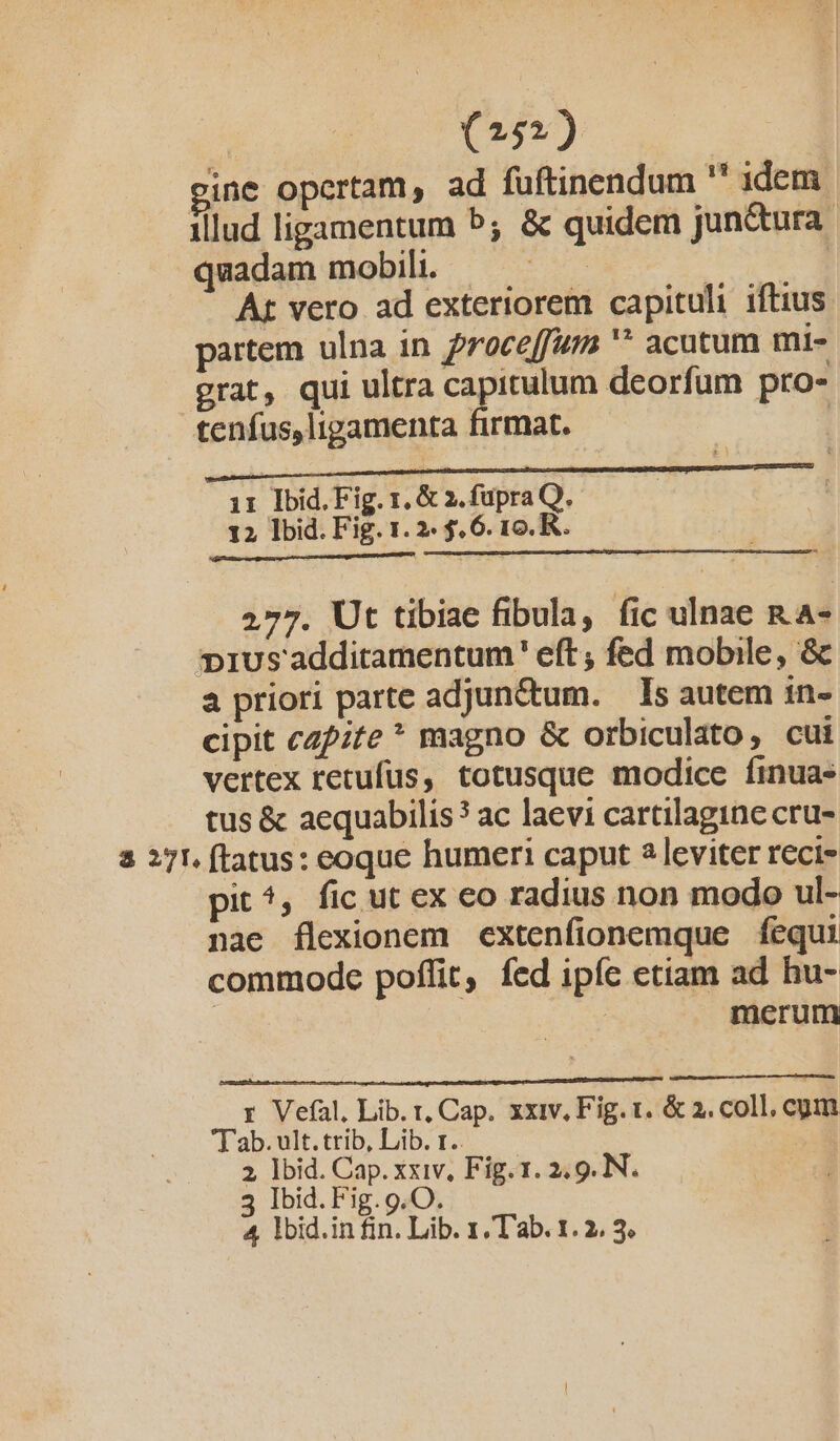 (5) ine opertam, ad fuftinendum  1dem illud ligamentum 5; &amp; quidem jun&amp;tura. quadam mobili. ces | | At vero ad exteriorem capituli iftius partem ulna in froceffur '* acutum mi- grat, qui ultra capitulum deorfum pro- tenfus,ligamenta firmat. | ir PidFigr.&amp;ifupaQ. —— 12 lbid. Fig. 1. 2. $, 6. 1o. R.. 277. Ut tibiae fibula, fic ulnae RA- »iUus'additamentum' eft; fed mobile, &amp;c a priori parte adjun&amp;um. — Is autem in- cipit cz?;£e * magno &amp; orbiculato, cui vertex retufus, totusque modice finua- tus &amp; aequabilis? ac laevi cartilagine cru- 2 271. (tatus: eoque humeri caput 2 leviter reci» pit ^, fic ut ex eo radius non modo ul- nae flexionem extenfionemque fequi commode poffit, fed ipíc etiam ad hu- | merum r Vefal, Lib. t, Cap. xxiv, Fig. t. &amp; 2. coll, cum Tab. ult. trib, Lib. r.. 2, lbid. Cap. xxiv, Fig. 1. 2.9. N. 3 Ibid. Fig.9.O.