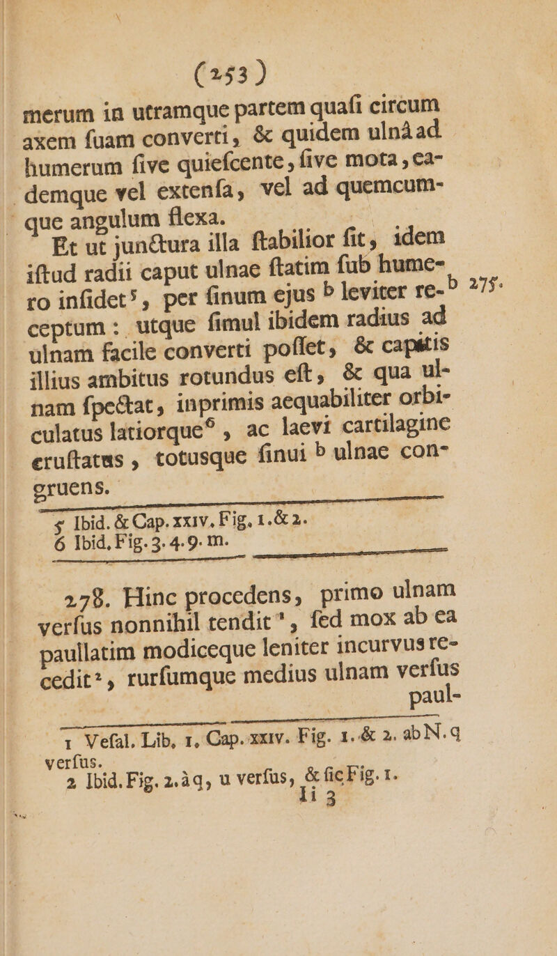 (253) merum in utramque partem quafi circum axem fuam converti, &amp; quidem ulpàad humerum five quiefcente , (ive mota , ca- demque vel extenfa, vel ad quemcum- - que angulum flexa. j Et ut jun&amp;ura illa ftabilior fit; 1dem iftud radii caput ulnae ftatim fub hume- ro infidet?, per finum ejus 5 leviter re- D. 275. ceptum : utque fimul ibidem radius ad ulnam facile converti poffet, &amp; capatis illius ambitus rotundus eft, &amp; qua ul- nam fpe&amp;tat, inprimis aequabiliter orbi- culatus latiorque?^ , ac laevi cartilagine eruftatws , totusque finui b ulnae con gruens. $ Ibid. &amp; Cap. xxiv. Fig, 1.&amp; 2. 6 Ibid, Fig. 3. 4.9. m. ——— mc m c di 278. Hinc procedens, primo ulnam verfus nonnihil tendit , fed mox ab ea paullatim modiceque leniter incurvuste- cedit*, rurfumque medius ulnam verfus | paul- 1 Vefal. Lib, 1, Cap. xxiv. Fig. 1..&amp; 2. abN.q verfus. 2. Ibid. Fig. 2.àq, u verfus, bs fic Fig. 1.