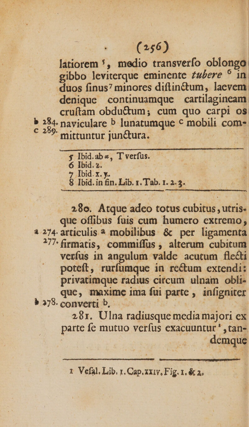 (2356) . latiorem *, medio transverfo oblongo: gibbo leviterque eminente £u£ere ? in duos finus? minores diflin&amp;tum, laevem denique continuamque cartilaginceam. » A cruftam obdu&amp;um; cum quo carpi os. b 254 naviculare b lunatumque ^ mobili com- ?: mittuntur jun&amp;tura. n | $ Ibid.ab«, T verfus. 6 Ibid. 7. 7 Ibid.x. y. $8 Ibid. in fin. Lib. x. Tab. 1. 2.3. 2980. Atque adeo totus cubitus , utris- que offibus fuis cum humero extremo, a 274. articulis * mobilibus &amp; per ligamenta ^77 firmatis, commiffus , alterum cubitum. verfus in angulum valde acutum fle&amp;ti poteft, rurfumque in rectum extendi: privatimque radius circum ulnam obli- que, maxime ima fui parte ,. infigniter b 375. converti b. | | 291. Ulna radiusque media majori ex parte fe mutuo verfus exacuuntur' ,tan- demque [sans sti