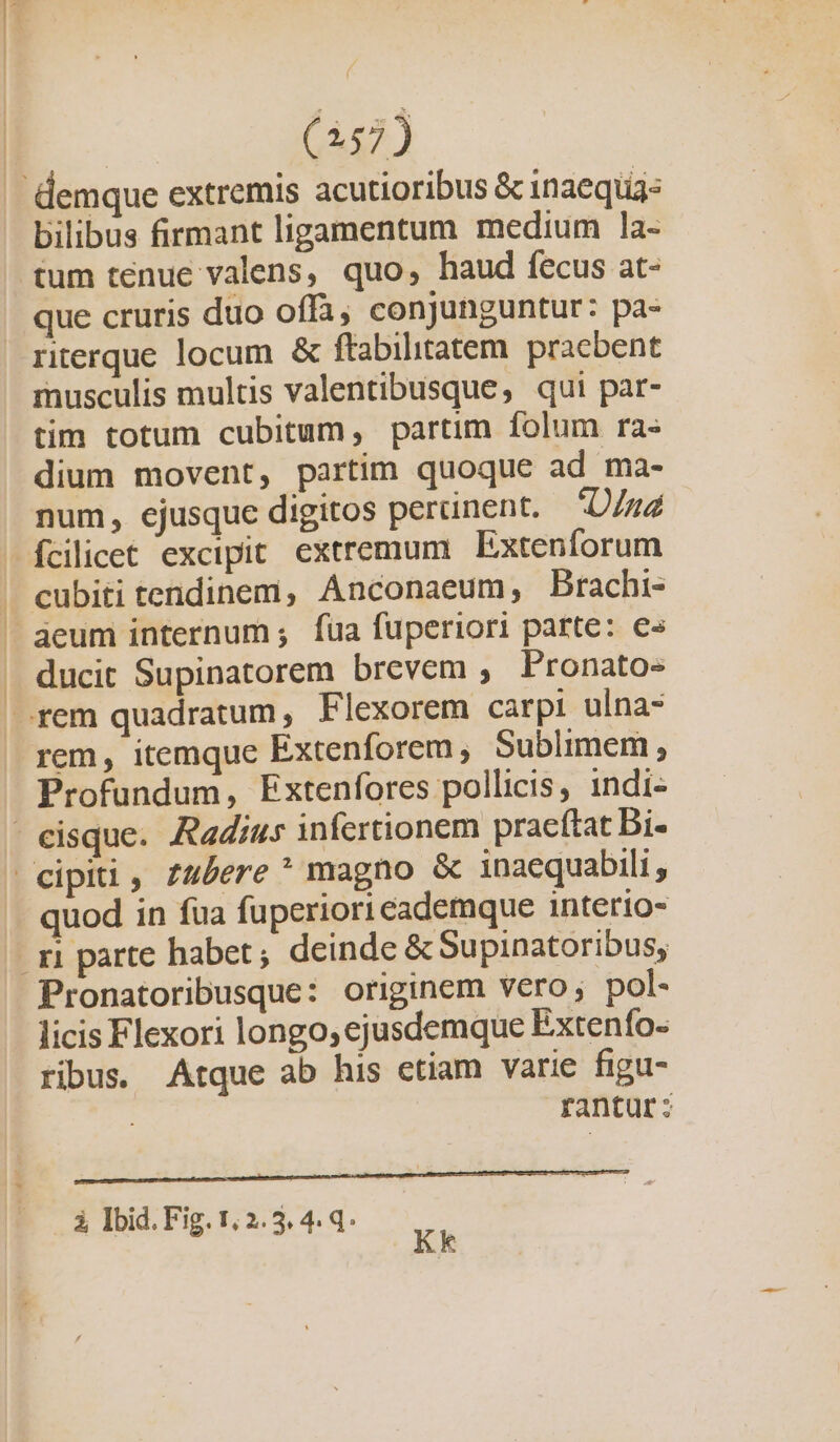 | | ! | * (257) demque extremis acutioribus &amp; inaequa- bilibus firmant ligamentum medium la- tum tenue valens, quo, haud fecus at- que cruris duo offi; conjunguntur: pa- riterque locum &amp; ftabilitatem. pracbent musculis multis valentibusque, qui par- tim totum cubitum, partim folum ra« dium movent, partim quoque ad ma- num, ejusque digitos perinent. — D/2 fcilicet excipit extremum | Extenforum cubiti tendinem, Anconaeum, Brachi- deum internum; fua fuperiori parte: e» ducit Supinatorem brevem , Pronato- rem, itemque Extenforem; Sublimem , Profundum, Extenfores pollicis, 1ndi- cisque. Radius infertionem pracftat Bi- cipiti, £4£ere * magno &amp; inaequabili quod in fua fuperiori eademque interio- ri parte habet; deinde &amp; Supinatoribus, Pronatoribusque: originem vero, pol- licis Flexori longo, ejusdemque Extenfo- ribus. Atque ab his etiam varie figu- | rantur: | g 344 Kk