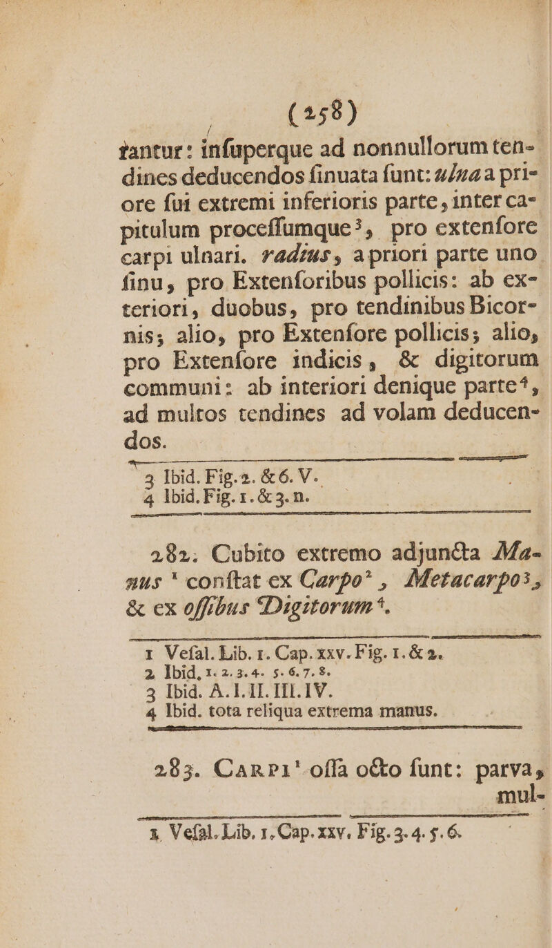 tantur: infuperque ad nonnullorum ten-- dines deducendos finuata funt: 4/722 pri- ore fui extremi inferioris parte , inter ca- pitulum proceffumque?, pro extenforc carpi ulnari. z4dz4s, apriori parte uno. finu, pro Extenforibus pollicis: ab ex- teriori, duobus, pro tendinibus Bicor- nis; alio, pro Extenfore pollicis; alio, pro Extenfore indicis, &amp; digitorum communi: ab interiori denique parte?, ad multos tendines ad volam deducen- dos. WEE 5 Ibid. Fig.2. &amp; 6. V. 4 lbid.Fig. 1. &amp; 3. n. oom d GIRRUERCNUITAIESAU 282; Cubito extremo adjuncta Ma- uus ' conftat ex Carpo* , Metacarpos, &amp; ex offibus Digitorum *. 1 Vefal. Lib. r. Cap. xxv. Fig. 1. &amp; 2. 2 Ibid, 1. 2.3. 4. 5. 6.7. 8. 3 Ibid. A. 1.II. ITI. IV. 4 Ibid. tota reliqua extrema manus. 283. CanP1i' offa o&amp;to funt: parvas mul- x, Vefal. Lib, 1, Cap. xxv. Fig. 5. 4. $. 6.