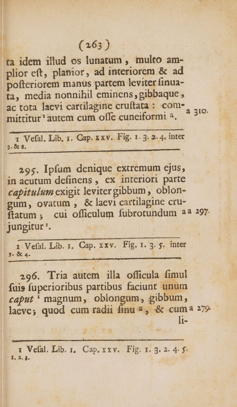 ta idem illud os lunatum , multo am- plior eft, planior, ad interiorem &amp; ad pofteriorem manus partem leviter finua- ta, media nonnihil eminens; gibbaque ; ac tota laevi cartilagine cruftata : com- Mer costi er We au elt mittitur' autem cum offe cuneiformt ?. D———— Áo e a ( E CREE ARS MC CDD 1 Vefal, Lib, 1. Cap. xxv. Fig. 1. 5. 2. 4. inter 3.&amp;8. — 295. Ipfum denique extremum ejus, in acutum definens , €x interiori parte capitulum exigit leviter gibbum , oblon- gum, ovatum , &amp; laevi cartilagine cru- ftatum ; cui officulum fubrotundum 2? 297 jungitur '. 7 MMUNEUPSPECKE PW opo UU i Veíal Lib. :, Cap. xxv. Fig. 1. 3. $. inter 35 &amp; LI F rr i e i it getto tts 296. Tria autem illa officula fimul fuis fuperioribus partibus faciunt unum caput * magnum, oblongum, gibbum, laeve; quod cum radii finu à &amp; cuma 27? | li- 1 Vefal. Lib. 1, Cap, xxv. Fig. 1.3.2. 4 f |3.2, 2