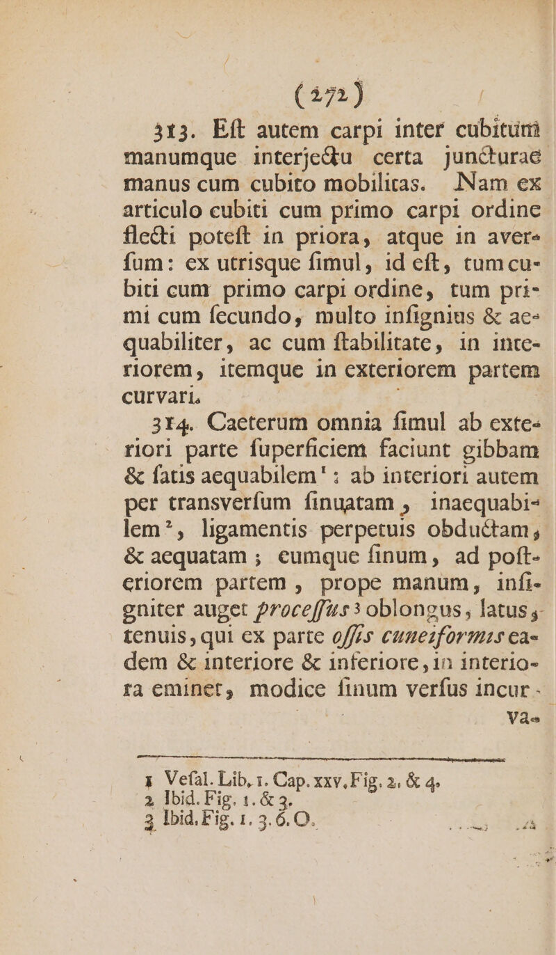 i on PERENNI 313. Eft autem carpi inter cubituni articulo cubiti cum primo carpi ordine flecti poteft in priora, atque in avere fum: ex utrisque fimul, id eft, cumcu- biti cum. primo carpi ordine, tum pri- mi cum fecundo, multo infignius &amp; ac- quabiliter, ac cum ftabilitate, in intc- riorem, itemque in exteriorem partem curvari, 314. Caeterum omnia fimul ab exte- riori parte fuperficiem faciunt gibbam &amp; fatis aequabilem' : ab interiori autem per transverfum finuatam ;— 1naequabi- lem*, ligamentis perpetuis obductam; &amp; aequatam ; eumque finum, ad poft- eriorem partem , prope manum, infi- tenuis , qui ex parte offres cuuezformr ea- dem &amp; interiore &amp; inferiore , 1n interio- ra eminet, modice finum verfus incur - Vd y Vefàl. Lib, 1. Cap. xxv. Fig. 2, &amp; 4. 2 Ibid. Fig. 1. &amp; 3. 3 lbid. Fig. 1. 3.6.O.