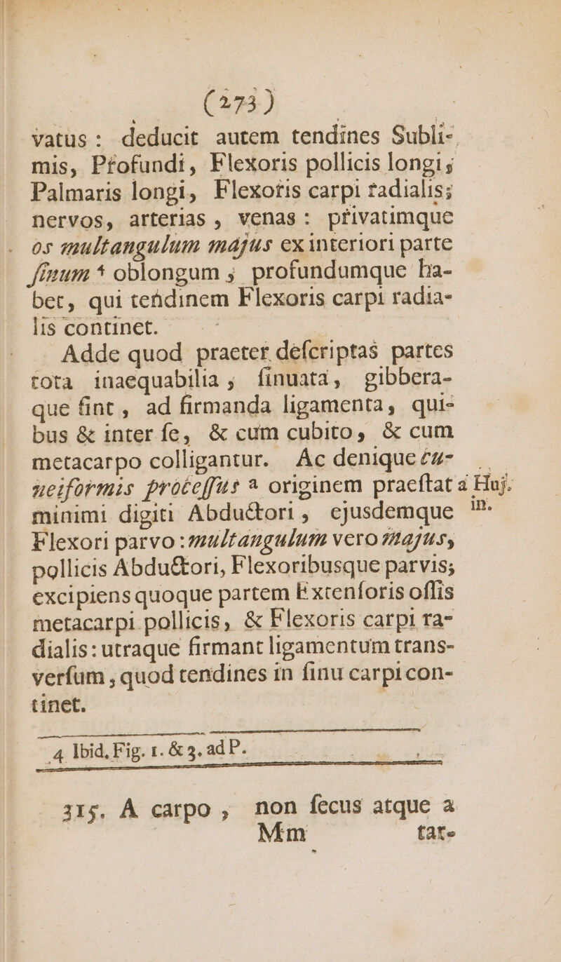 CIEN S | vatus: deducit autem tendines Subli-. mis, Pfofundi, Flexoris pollicis longi ; Palmaris longi, Flexotis carpi tadialis; nervos, arterias , venas: privatimque os tnultangulum majus ex interiori parte Jffuum * oblongum ;. profundumque ba- bet, qui tehdinem Flexoris carpi radia- lis continet. Adde quod praeter defcriptas partes tota inaequabilia, finuata, gibbera- que fint , ad firmanda ligamenta, qui- bus &amp; inter fe, &amp; cum cubito, &amp; cum metacarpo colligantur. Ac deniqueez- ueiformis proteffus * originem praceftat a Huj. minimi digiti Abdu&amp;ori , ejusdemque Flexori parvo :multaugulutm vero 7241.5, pollicis Abdu&amp;tori, Flexoribusque parvis; excipiens quoque partem E xtenforis offis metacarpi pollicis, &amp; Flexoris carpi ra- dialis: utraque firmant ligamentum trans- verfum , quod tendines in finu carprcon- tinet. | 4 lbid. Fig. 1. &amp; 3. ad P. 315, À carpo , non fecus atque a | Mm — fate ^