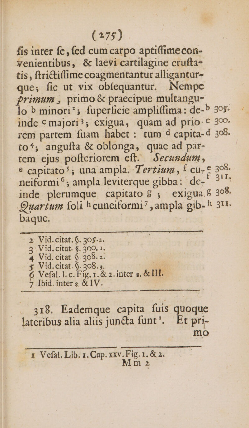 fis inter fe, fed cum carpo aptiffimecon- venientibus, &amp; laevi cartilagine crufta- tis , ftri&amp;tiffime coagmentantur alligantur- que; fic ut vix obíequantur. Nempe frimum , primo &amp; praecipue multangu- lo b minori^; fuperficie ampliffima: de-5 365. inde € majori?; exigua, quam ad prio. € 3c rem partem fuam habet: tum d capita-d 399. to^; anguíta &amp; oblonga, quae ad par- | tem ejus pofteriorem eft. — Secundum , € capitato?; una ampla. Ter£zur , f cu- € 305- neiformi?; ampla leviterque gibba: de- - i inde plerumque capitato 8 ; cxigua.8 399 Quartum foli ^h cuneiformi? , ampla gib- ^ 311. baque. | 2, Vid.citat. $. 305-2. 5 Vid.citat. $. 300. r. 4 Vid.citat $. 309. z. $ Vid.citat. $. 308. 5. x 6 Vefal.l.c.Fig. 1. &amp; 2. inter s. &amp; III. 7 Ibid. inter s. &amp; IV. | 318. Eademque capita fuis quoque lateribus alia aliis jun&amp;ta funt'. — Et pri- | mo x Vefal. Lib, 1. Cap. xxv. Fig. 1, &amp; 3. i | Mm 2