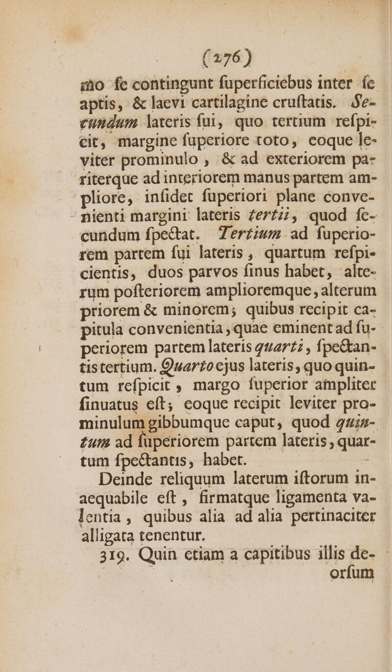 ino fe contingunt fuperficiebus inter fc aptis, &amp; laevi cartilagine cruftatis. Se- eundam lateris fui, quo tertium refpi- cit, margine fuperiore toto, eoque le- viter prominulo , &amp; ad exteriorem pa- riterque ad interiorem manus partem am- pliore, infidet fuperiori plane conve- nienti margini lateris £e7/z;, quod fc- cundum fpectat. erzium ad fuperio- rem partem fui lateris ,, quartum refpi- cientis, duos parvos finus habet, altc- rum pofteriorem amplioremque , alterum priorem &amp; minorcm; quibus recipit ca- pitula convenientia , quae eminent ad fu- periorem partem lateris 44/2777 , fpe&amp;an- tistertium. Quarto ejus lateris, quo quin- tum refpicit ,, margo fuperior atmpliter finuatus eft; coque recipit leviter pro- minulum gibbumque caput, quod 44- £ut ad füuperiorem partem lateris quar- . tum fpectantis, habet. : Deinde reliquum laterum iftorum in- aequabile eft, firmatque ligamenta va- lentia , quibus alia ad alia pertinaciter alligata tenentur. | 319. Quin ctiam a capitibus illis de- : PEAAL. € orfum