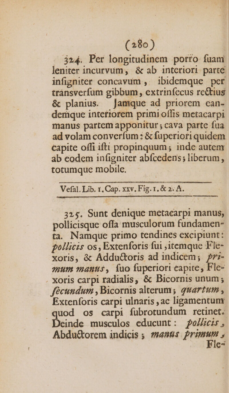 . $324. Per longitudinem porro fuam leniter incurvum, &amp; ab interiori parte infigniter concavum ,' ibidemque per trànsverfum gibbum, extrinfecus rectius &amp; planius. Jamque ad priorem ean- demque intertorem primi offis metacarpi manus partem apponitur; cava parte fua ad volam converfum : &amp; fuperiori quidem capite offi ifti propinquum; inde autem ab eodem infigniter abícedens; liberum, totumque mobile. Vefal. Lib. t, Cap. xxv. Fig. L&amp; 2: A. | 325. Sunt denique metacarpi manus, pollicisque offa musculorum fundamen- ta. Namque primo tendines excipiunt: pollicis os , Extenforis fui itemque Fle- xoris, &amp; Addu&amp;toris ad indicem; f:- uum anus, fuo fuperiori eapite, Fle- . Xoris carpi radialis, &amp; Dicornis unum; fecundum , Bicornis alterum; quartum , Extenforis carpi ulnaris , ac ligamentum quod os carpi fuübrotundum retinet. Deinde musculos educunt: fo/Zeis, Abdu&amp;orem indicis ;. (anti pne 5 e