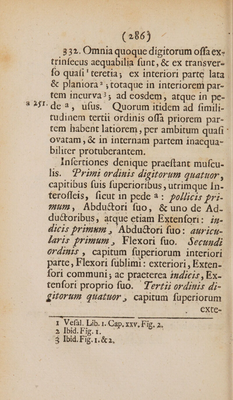 à 251. n 332. Omnia quoque digitorum offa ex- trinfecus aequabilia funt, &amp; ex transver- fo quali'teretia; ex interiori parte lata &amp; planiora* ; totaque in interiorem par- tem 1incurva?; ad eosdem, atque in pe- de 3, ufus. Quorum itidem ad fimili- bilirer protubcrantem. Anfertiones denique praeftant mufcu- hs. Primi ordinis digitorum quatuor, capitibus fuis fuperioribus , utrimque Ín- terofleis, ficut 1n pede * : po//iczs pri- 7/4, Abdu&amp;ton fuo, &amp; uno de Ad. du&amp;toribus, atque etiam Extenfori: z5- dicis primum , Abdu&amp;ori fuo: auricu- jaris primum , Flexori fuo. Secundi Ordzhis , capitum füperiorum interiori fori communi; ac praeterea 2242c25 , Ex- tenfori proprio fuo. ' Tezzzz ordzuis di- £orum quatuor, capitum fuperiorum | CXtC- (1 Velül. Lib. 1. Cap, xxv, Fig, 2. 2 dbid.Fig.:. |