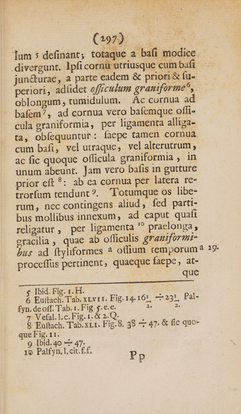 * Tum 5 definant; tot: que a bafi modice — .divergunt. lpfi cornü utriusque cum bafi jun&amp;urae, a parte eadem &amp; priori &amp; fu- periori, ad(idet offrculum graniforme?, — oblongum, tumidulum. Ac cornua ad bafem?, ad cornua vero baíemque offi- cula graniformia, per ligamenta alliga- ta, obfequuntur: faepe tamen cornua cum bafi, vel utraque, vel alterutrum, ac fic quoque officula graniformia , in unum abeunt. Jam vero bafis 1n gutture prior eft *: ab ca cornua per latera re- trorfum tendunt ?. Totumque os libe- rum, nec contingens aliud, fed parti- bus mollibus innexum, ad caput quafi religatur , per ligamenta  praelonga ; gracilia , quae ab ofliculis graniformi- bus ad ftyliformes * oflium cemporum? 19. proceffus pertinent, quaeque faepe, at- que $4 Ibid. Fig. 1. H. 6 Euftach. Tab. xzvrr. Fig. 14. 161, 77231, Pal- fyn. deoff. Tab. r. Fig. j. e. e 2. PE 4 Vefal.l,c.Fig. 1. &amp; 2.Q. $ Euftach. Tab.xL1. Fig. 8. 38 —— 47. &amp; fic quo- que Fig. 11. 9 Ibid.40 — 47. 10 Palfyn.l.cit.£.f. P p