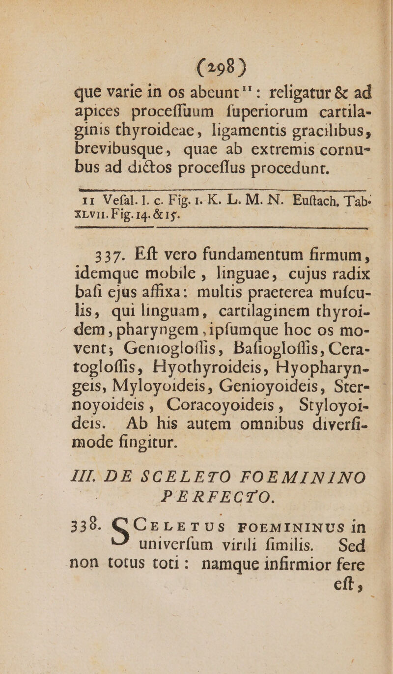 que varie in os abeunt : religatur &amp; ad apices proceffuum f[uperiorum cartila- ginis thyroideae, ligamentis gracilibus; brevibusque, quae ab extremis cornu- bus ad dictos proceflus procedunt. ii Vefal.l.c. Fig. r. K. L. M. N. Euftach, Tab. xLvir. Fig. 14. &amp; 15. | 337. Eft vero fundamentum firmum, idemque mobile , linguae, cujus radix bafi ejus affixa: multis praeterea mufcu- lis, qui linguam, cartilaginem thyroi- - dem, pharyngem ,ipíumque hoc os mo- vent; Geniogloflis, Bafiogloffis, Cera- togloflis, Hyothyroideis, Hyopharyn- geis, Myloyoideis, Genioyoideis, Ster- noyoideis, Coracoyoideis, Styloyoi- | deis. Ab his autem omnibus diverfi- mode fingitur. IIl. DE SCELETO FOEMININO | PERFECTO. 339. Ser LETUS FOEMININUS in univerfum virili fimilis. — Sed non totus toti: namque infirmior fere eft,