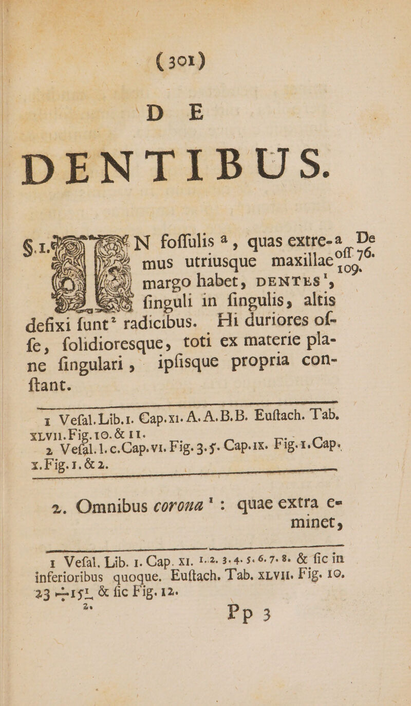 - ! M | ( 301) D E N foffülis ? , quas extre- mus utriusque maxillae (e | / ac aao? Bol 44) margo habet, nENTEs', $3 Vu finguli in fingulis, altis defixi funt? radicibus. Hi duriores of- fe, folidioresque, toti ex materie pla- ne fingulari , ipfisque propria con- ftant. 1 Vefal. Lib.r. Cap.xi. A. A. B. B. Euftach. Tab. xLvn.Fig. 1o. &amp; r1. a De off 76. 109. x.Fig.1. &amp; 2. AD trarre iq tnn 2. Omnibus corozz ' : quae extra c» minct , olco oc oai M CERE E DPI . 1 Vefàl, Lib. 1. Cap. x1. 1-?- 3.44 546.7. 8. &amp; fic in inferioribus quoque. Euftach. Tab. xrvir. Fig. 19. Pp 53